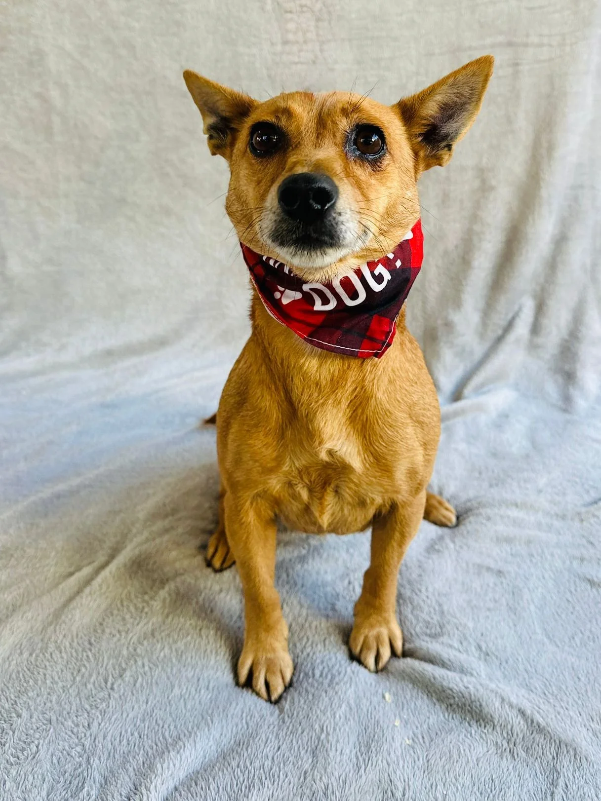 WhatsApp Image 2026-01-01 at 11.59.03.jpeg