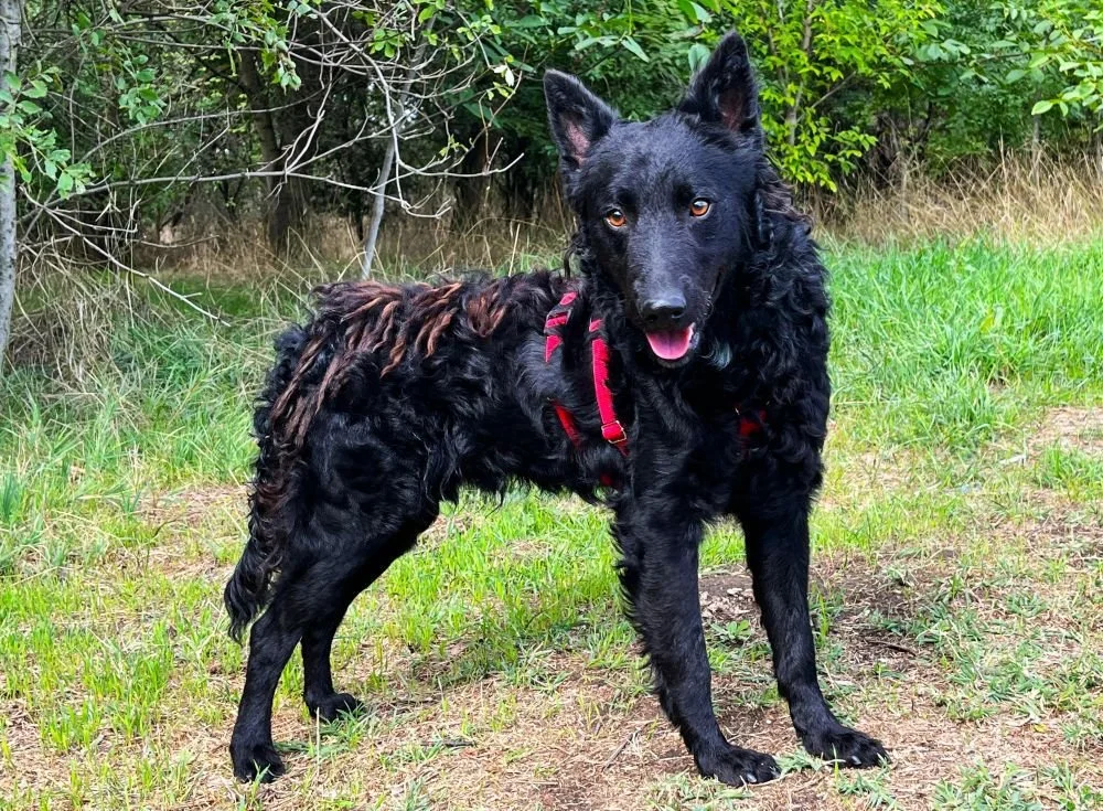 WhatsApp Image 2025-10-28 at 16.52.52.jpeg