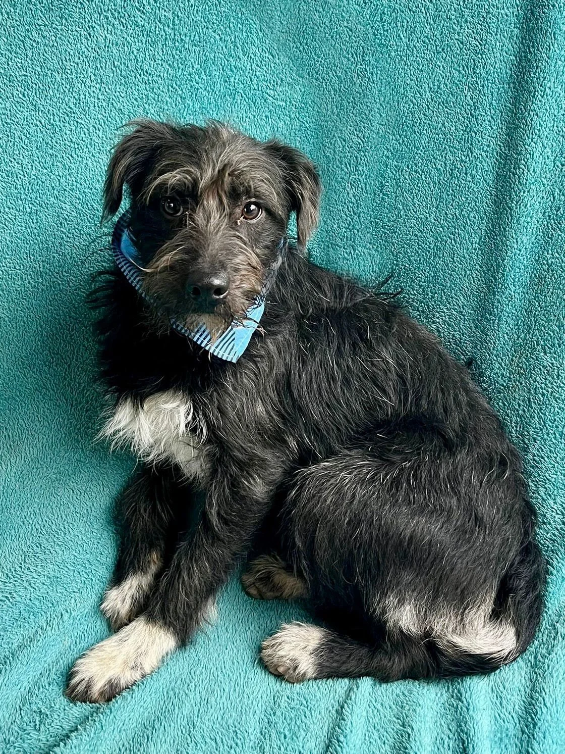 WhatsApp Image 2026-01-03 at 13.03.43.jpeg