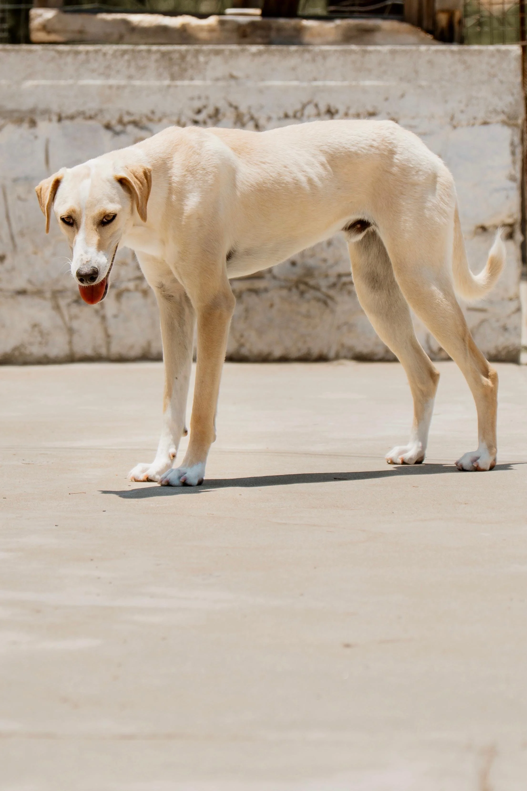 20124d77-97fa-452f-9fab-70edd4317b40.jpeg