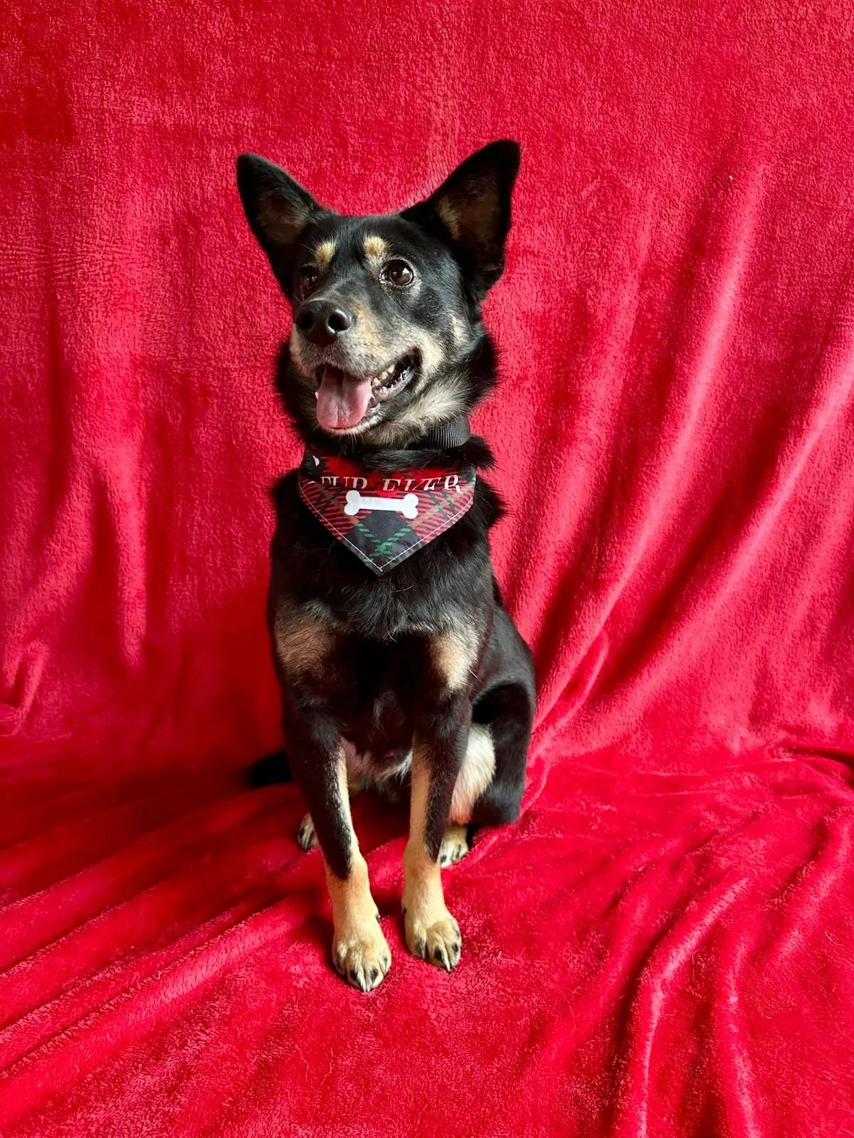 WhatsApp Image 2026-01-01 at 13.24.56 (1).jpeg