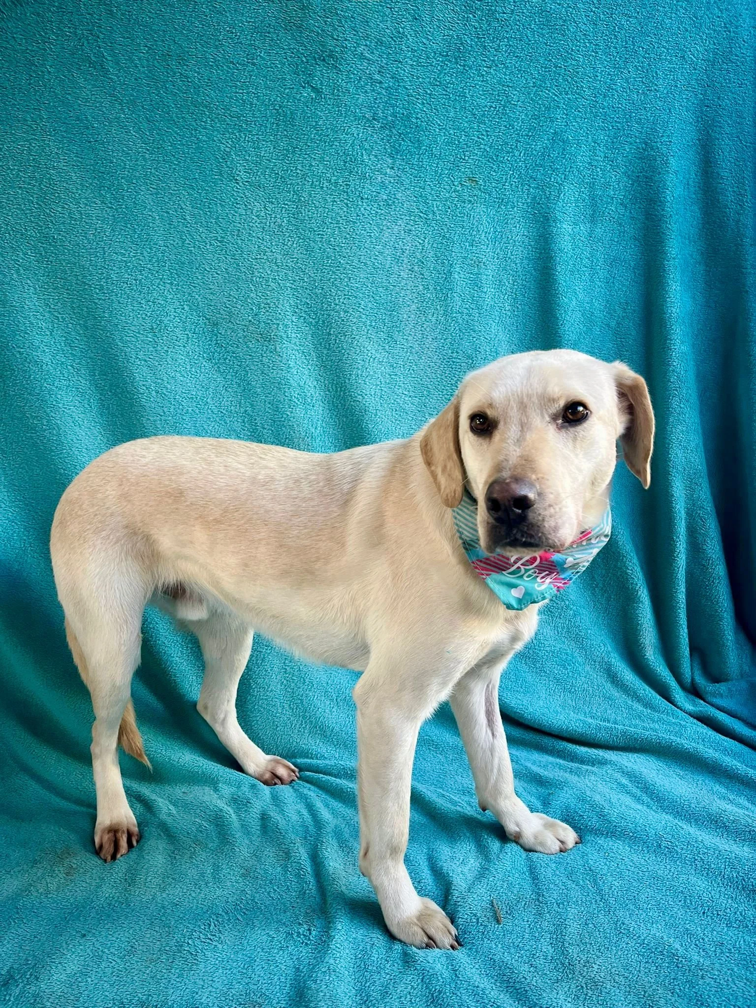 WhatsApp Image 2026-01-01 at 19.16.32 (1).jpeg