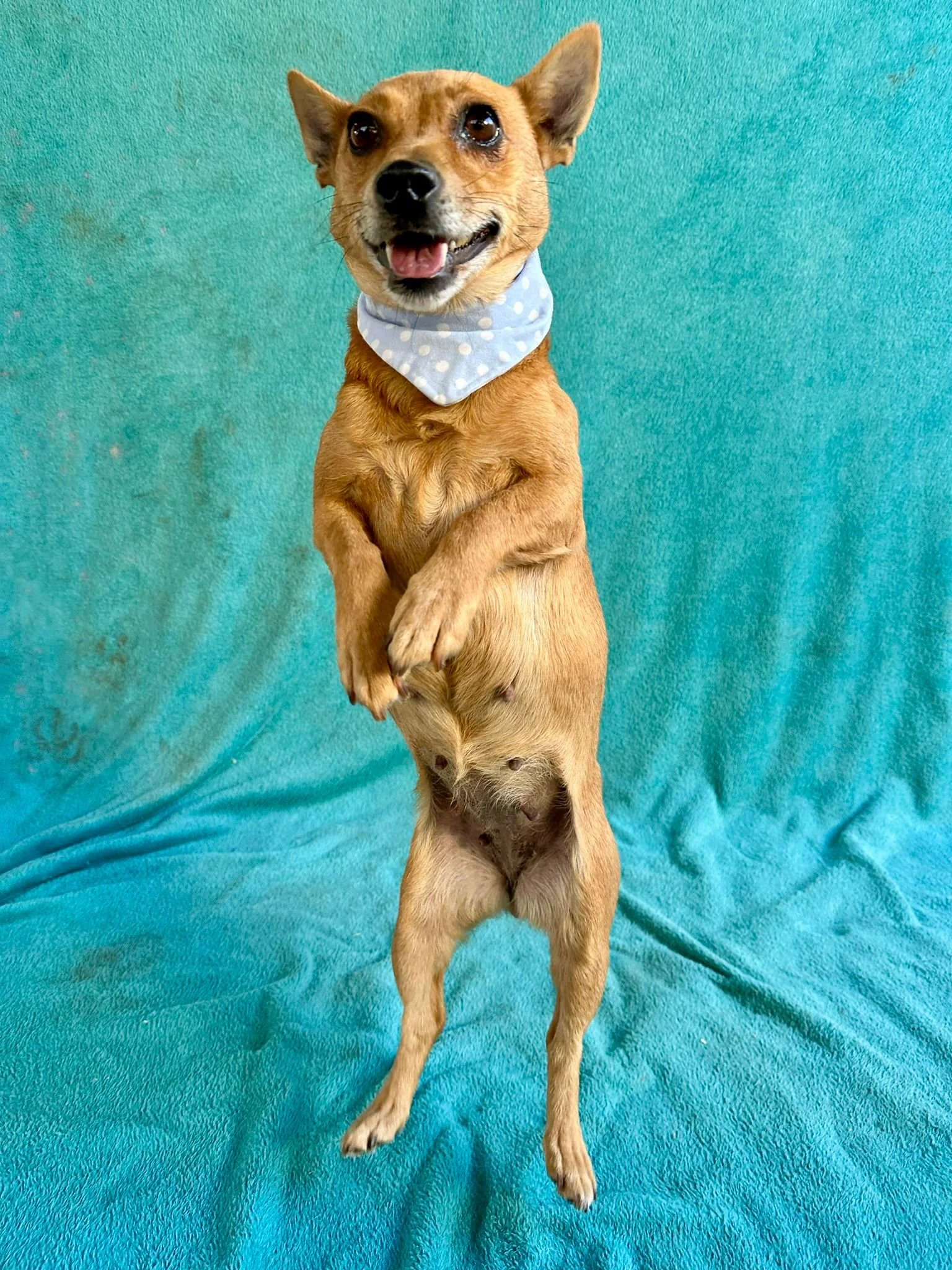 WhatsApp Image 2026-01-01 at 11.59.00.jpeg