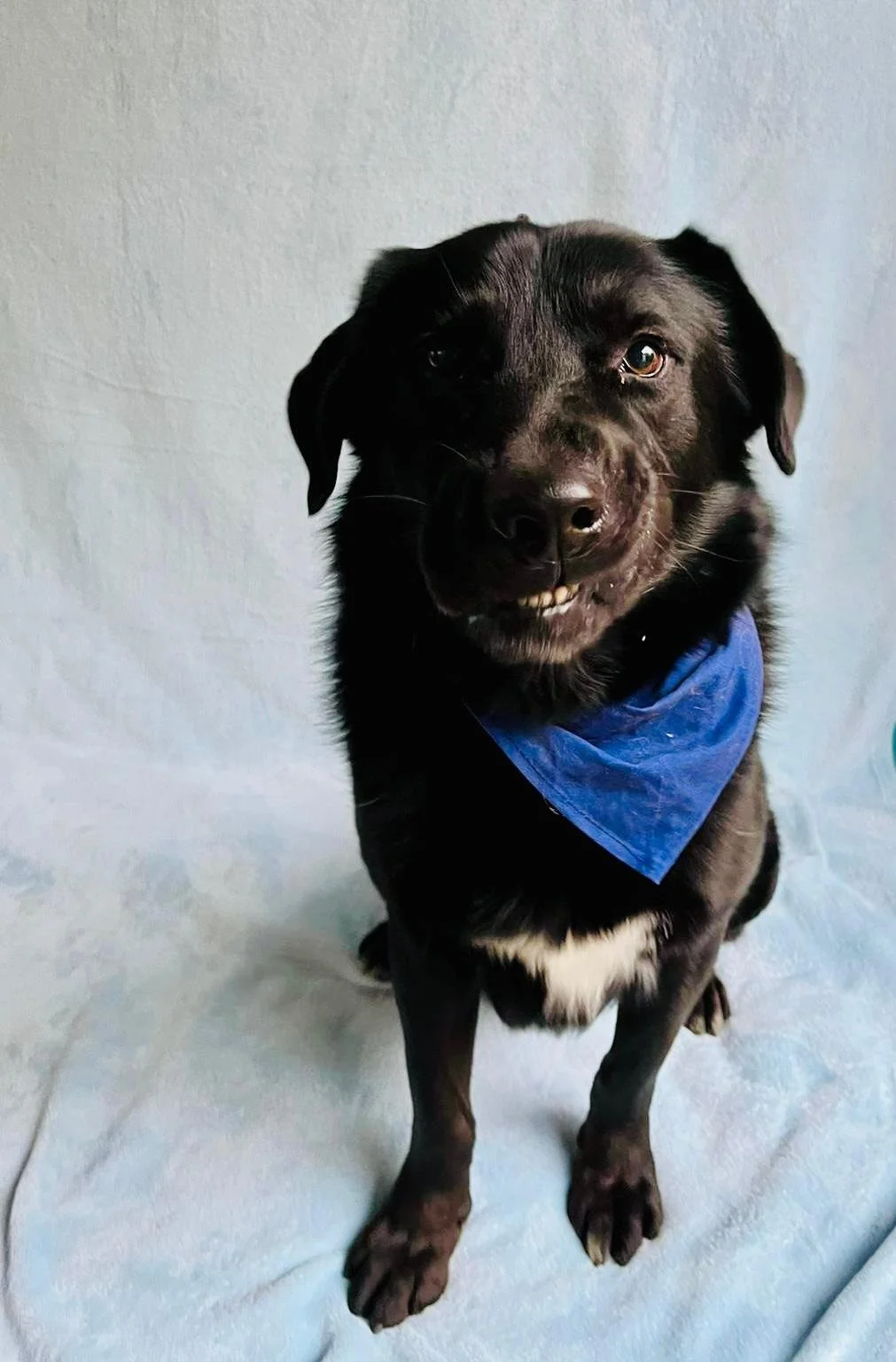 WhatsApp Image 2025-10-31 at 11.19.54 (1).jpeg