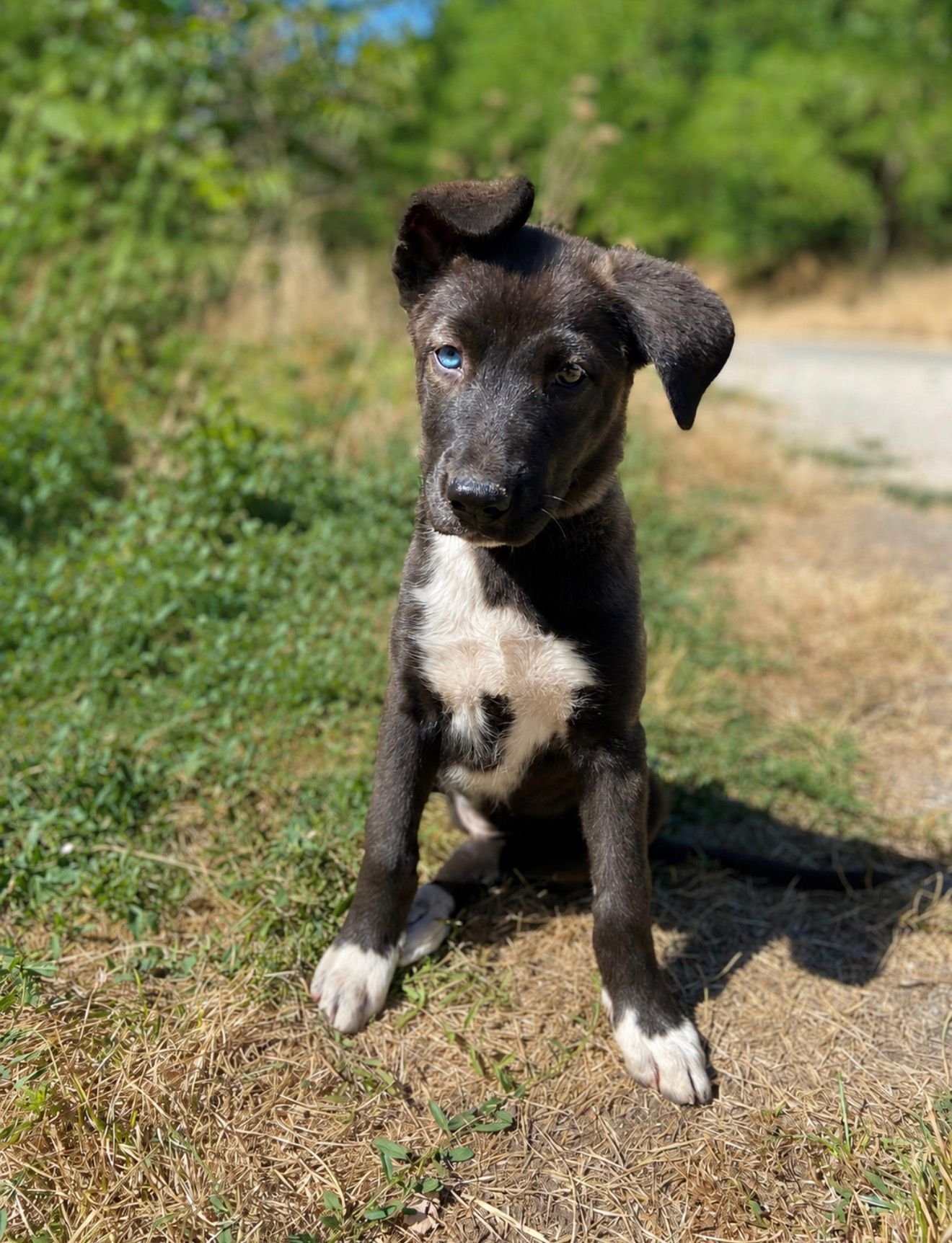 Luna
