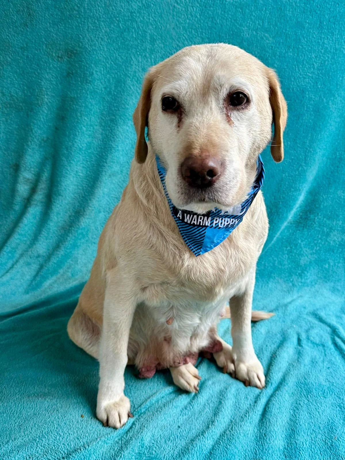 WhatsApp Image 2026-01-01 at 12.37.31 (1).jpeg