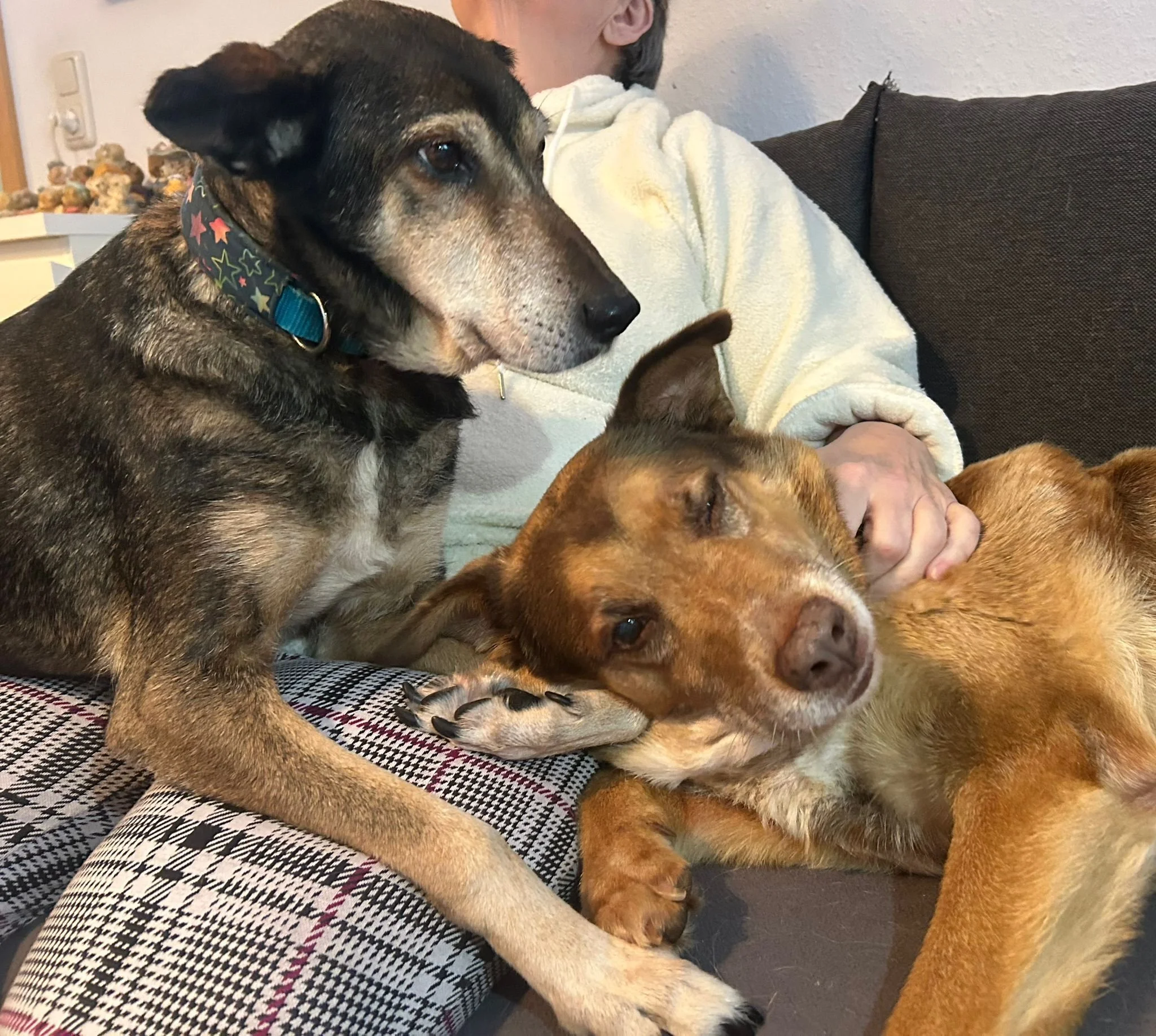 WhatsApp Image 2026-01-23 at 15.35.30.jpeg