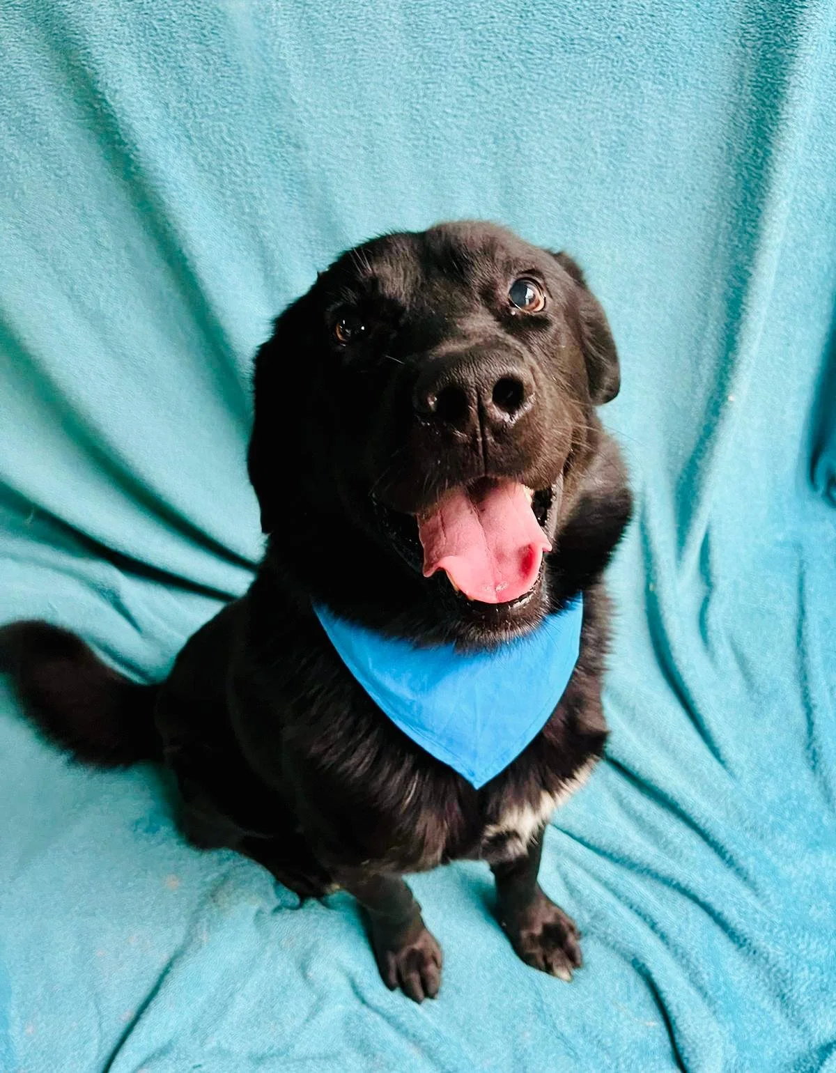 WhatsApp Image 2025-10-31 at 11.19.51 (1).jpeg