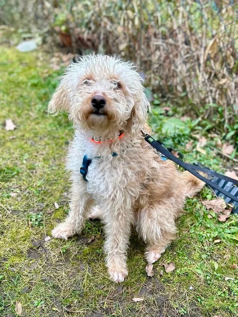 WhatsApp Image 2025-12-31 at 11.04.36 (2).jpeg