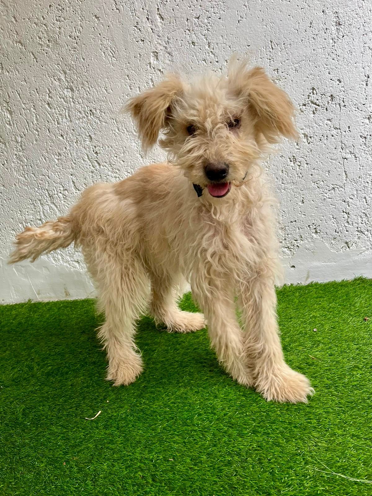 WhatsApp Image 2025-10-31 at 10.04.31.jpeg