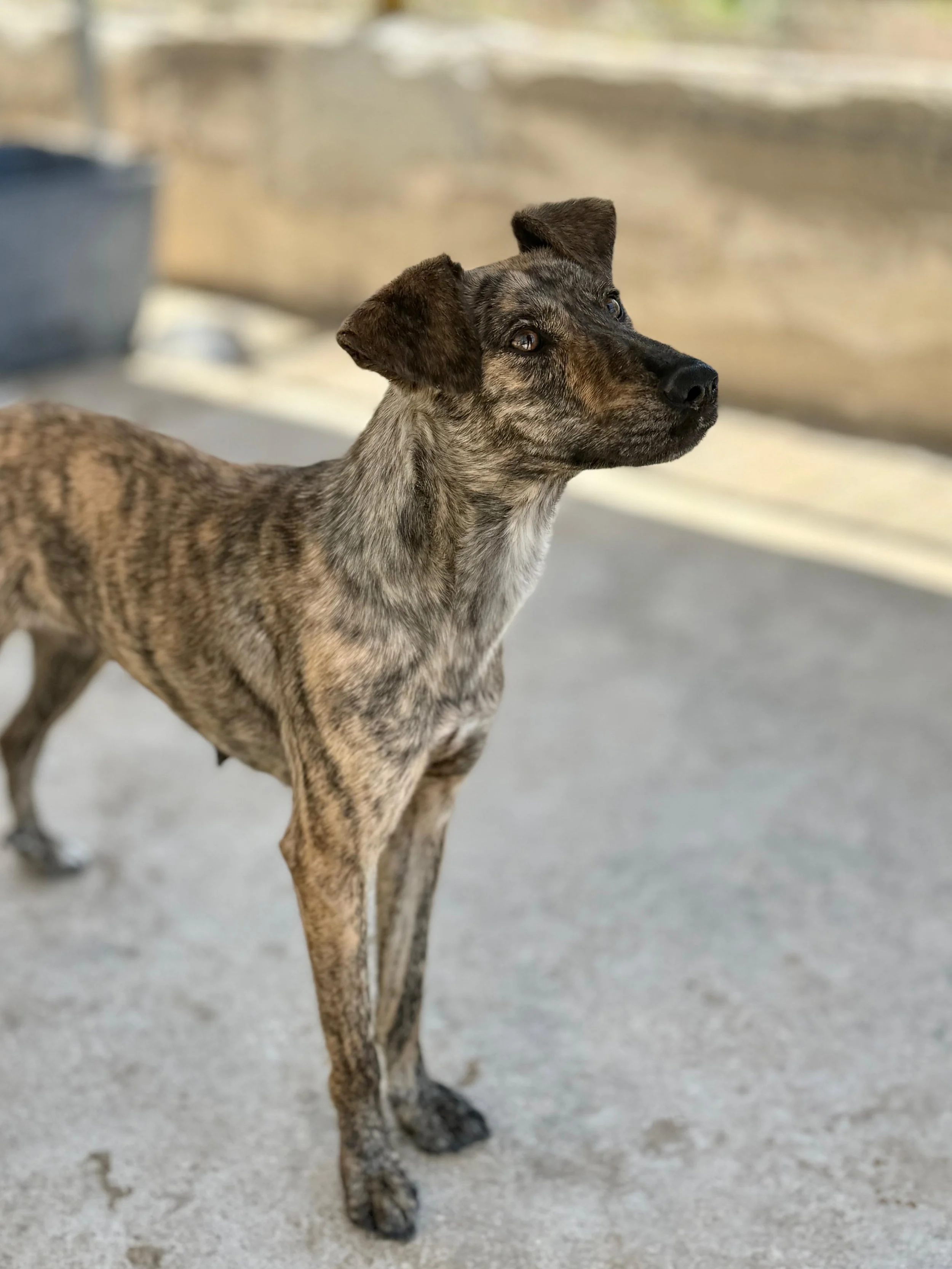 2026-06-19 20-23-22 (2).jpeg