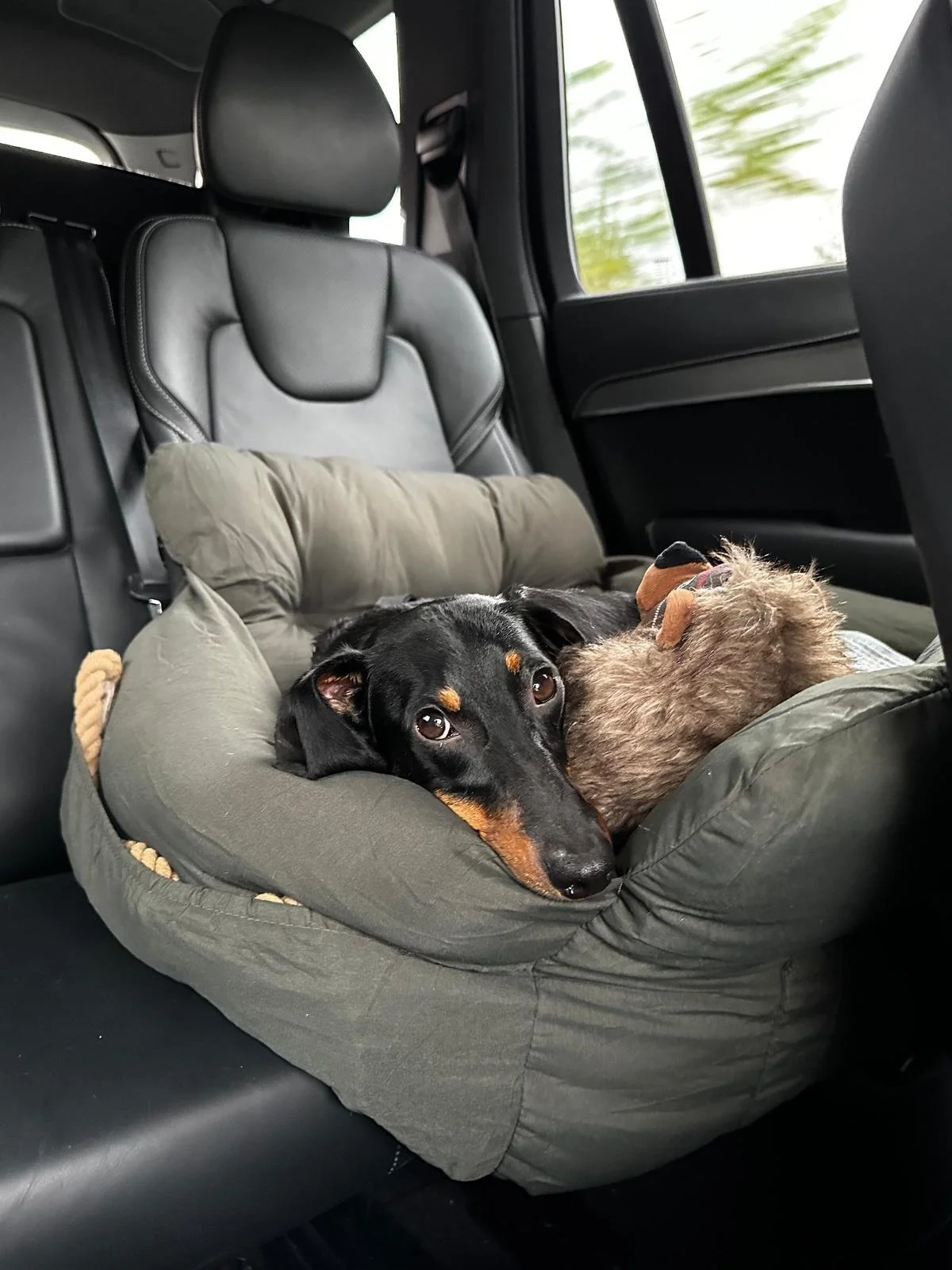 WhatsApp Image 2025-11-17 at 10.34.39 (1).jpeg