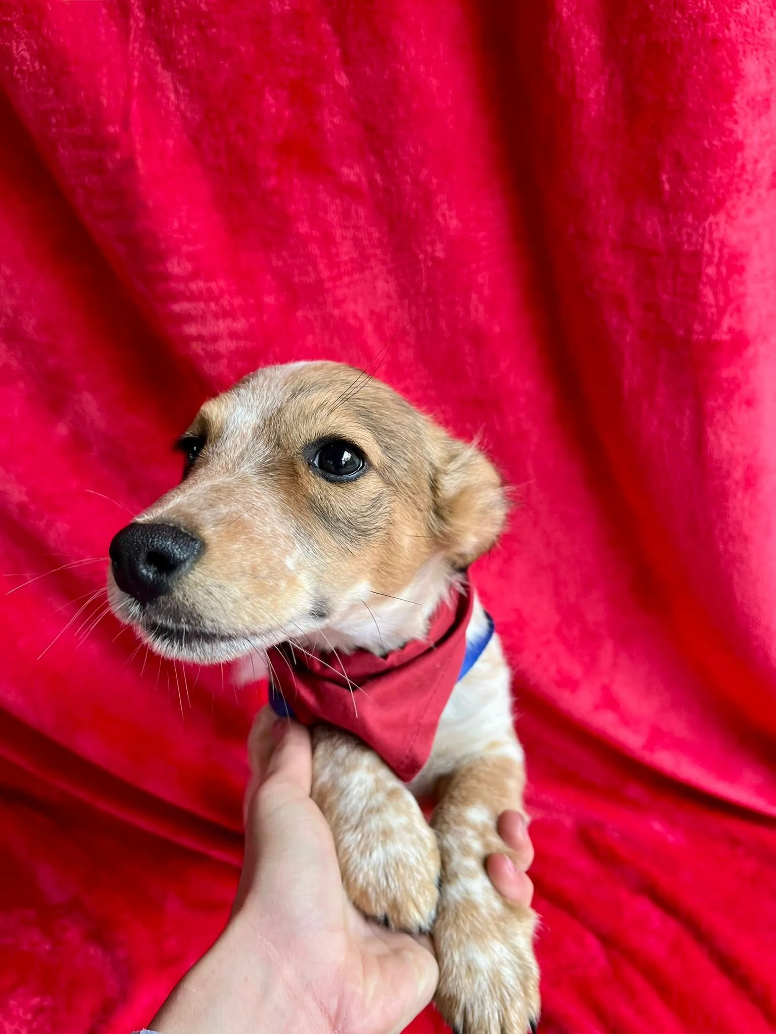 WhatsApp Image 2025-11-18 at 09.53.29 (2).jpeg