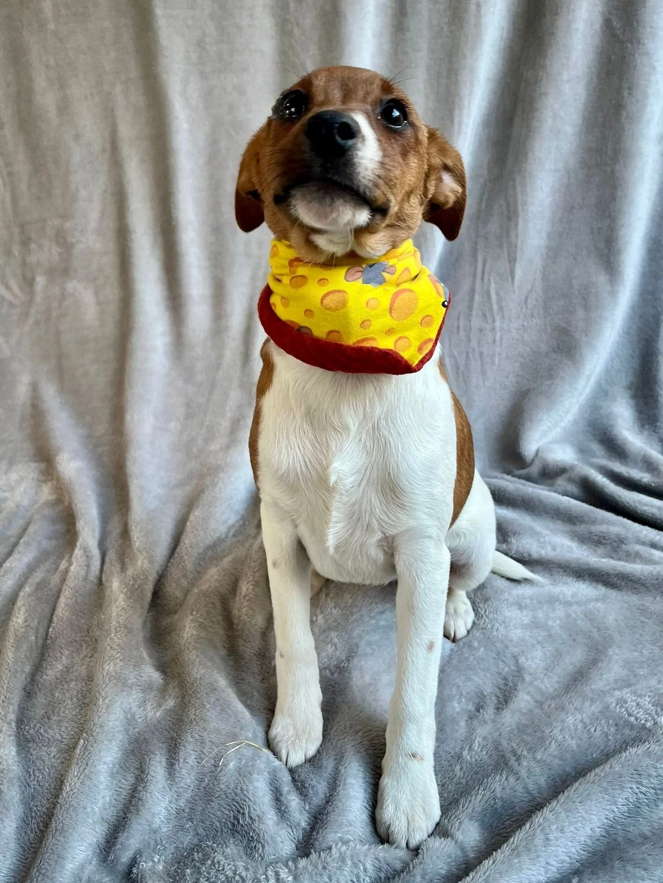 WhatsApp Image 2026-01-01 at 11.31.57 (1).jpeg