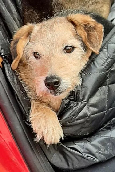 WhatsApp Image 2026-01-24 at 19.38.54 (3).jpeg