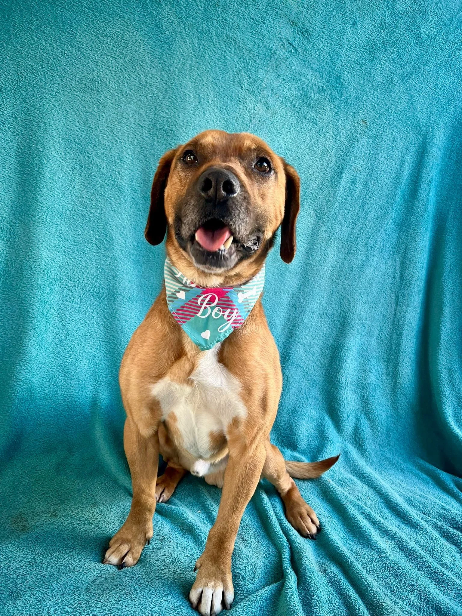 WhatsApp Image 2026-01-10 at 15.07.55 (1).jpeg