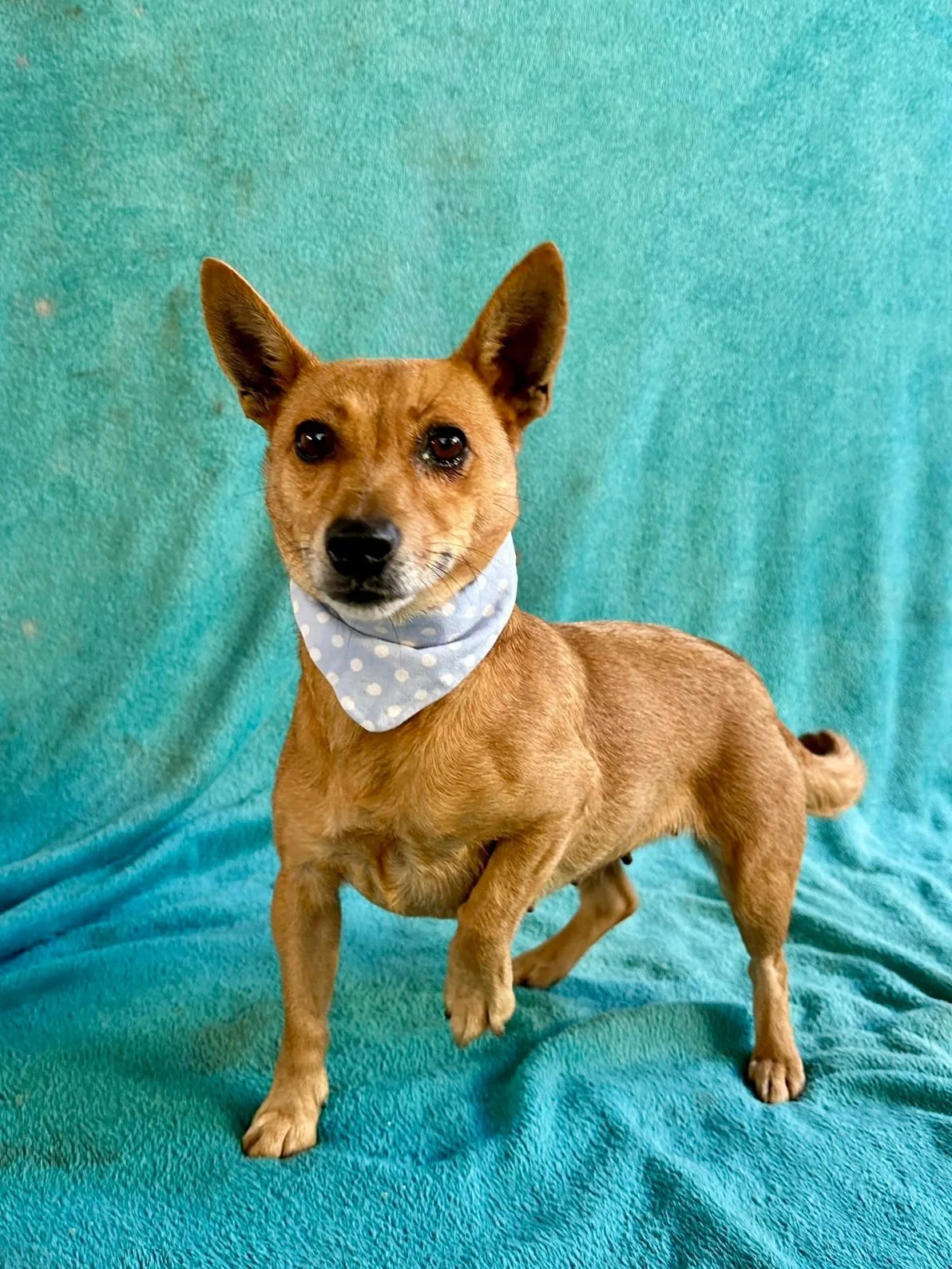 WhatsApp Image 2026-01-01 at 11.58.59 (3).jpeg