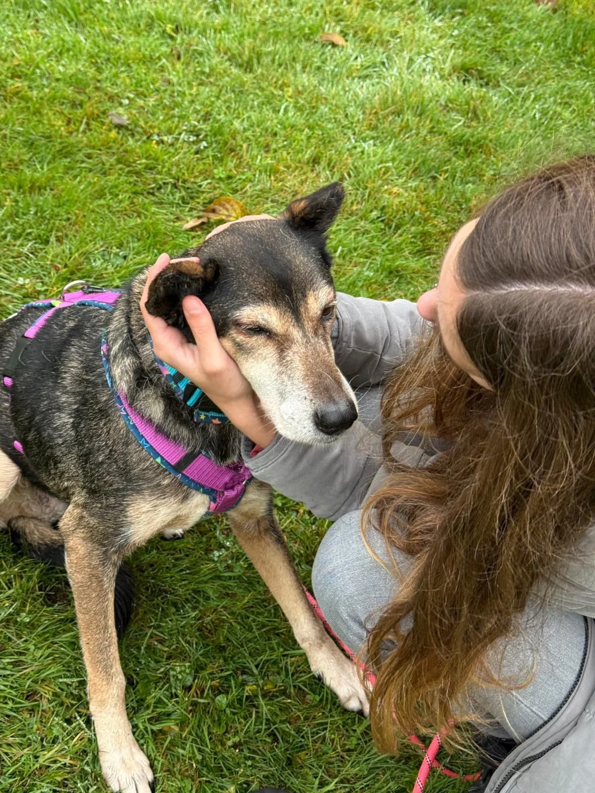 WhatsApp Image 2025-12-13 at 16.28.28 (2).jpeg