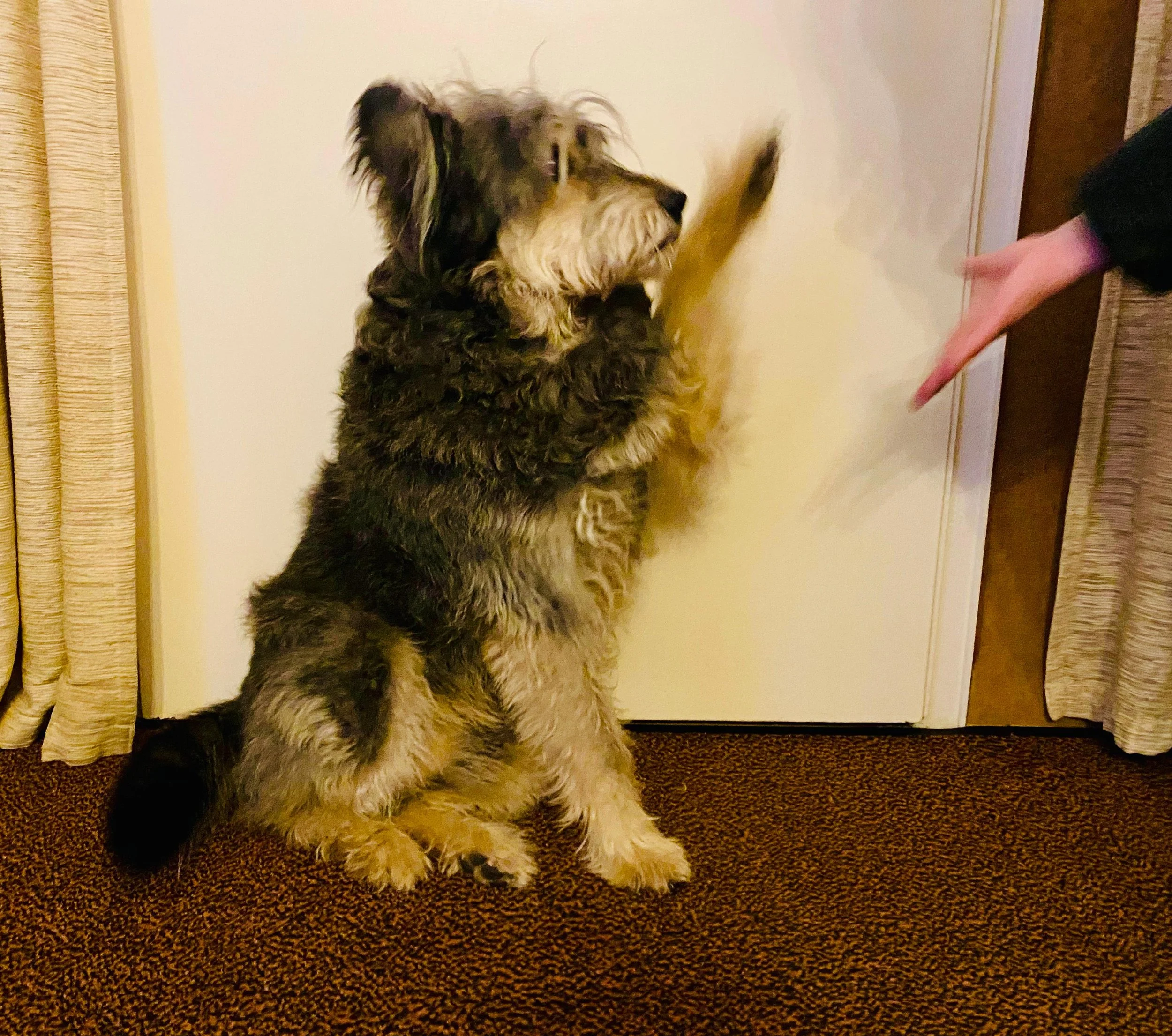 WhatsApp Image 2026-01-10 at 12.02.47 (4).jpeg