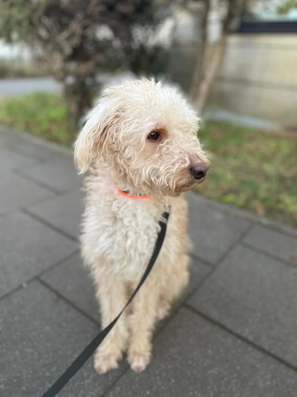 WhatsApp Image 2025-12-31 at 11.04.34 (2).jpeg