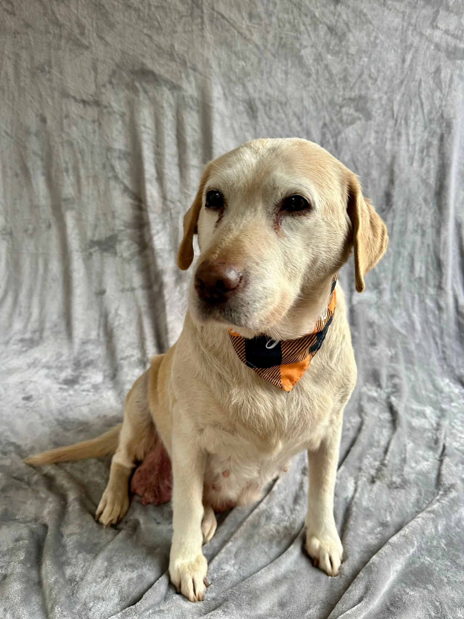 WhatsApp Image 2026-01-01 at 12.37.32 (1).jpeg