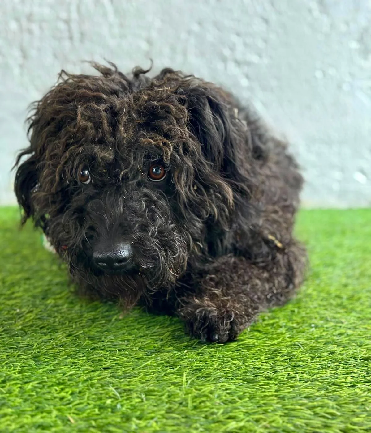 WhatsApp Image 2026-01-20 at 15.53.41 (1).jpeg