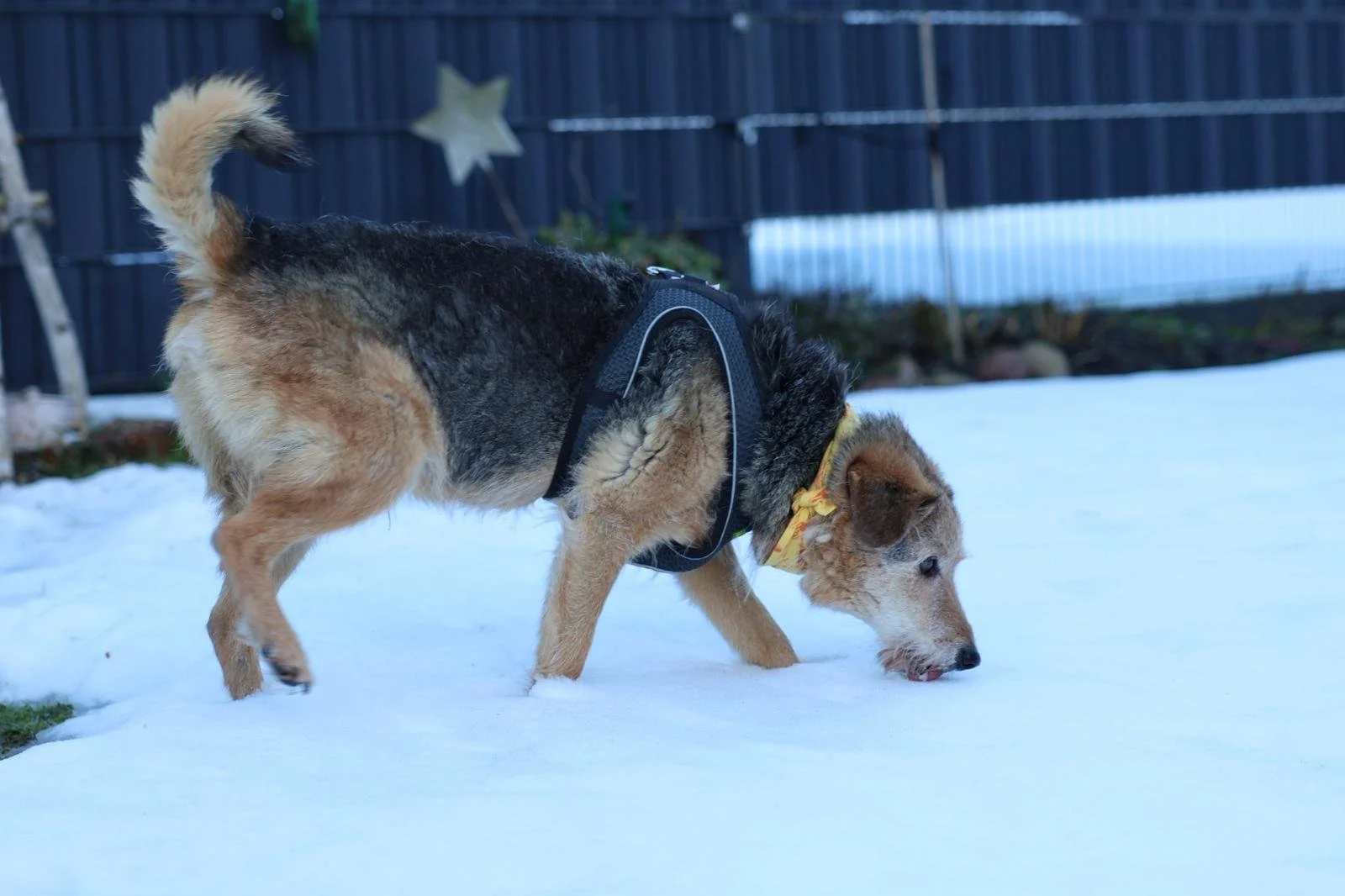 WhatsApp Image 2026-01-24 at 19.38.53.jpeg