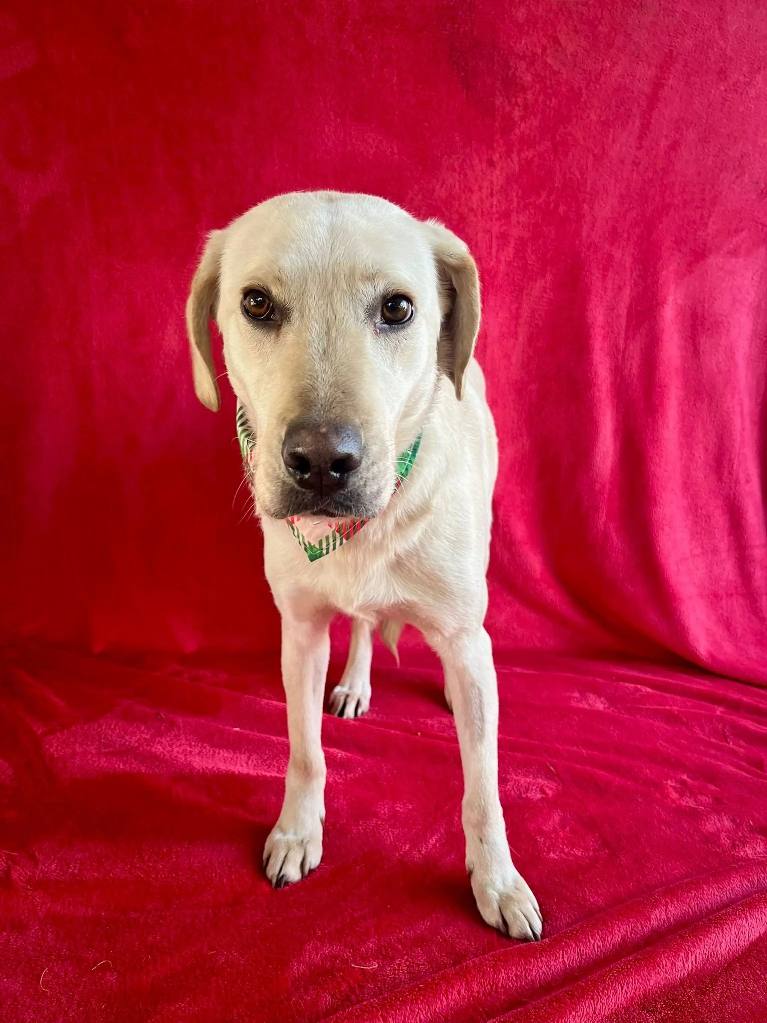 WhatsApp Image 2026-01-01 at 19.16.35.jpeg