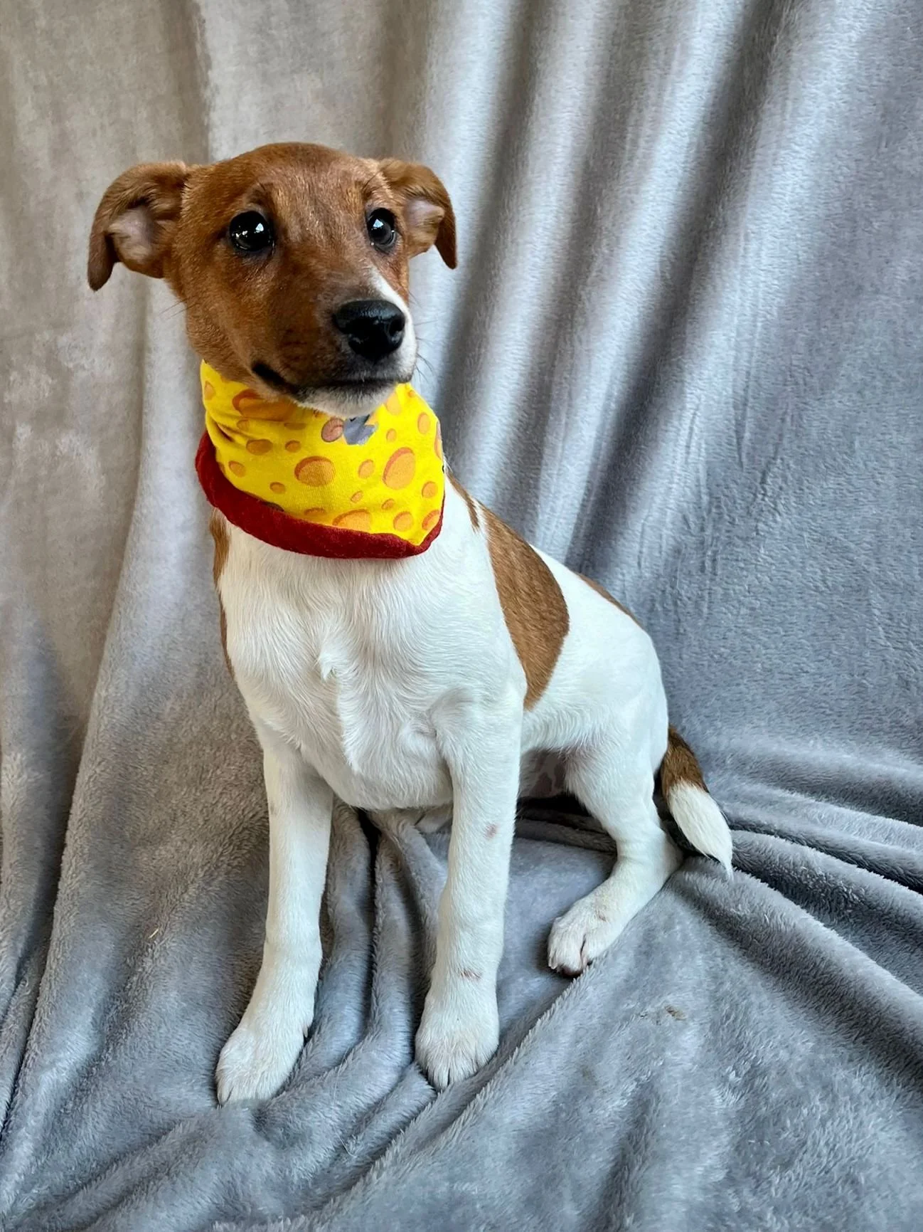 WhatsApp Image 2026-01-01 at 11.31.56.jpeg