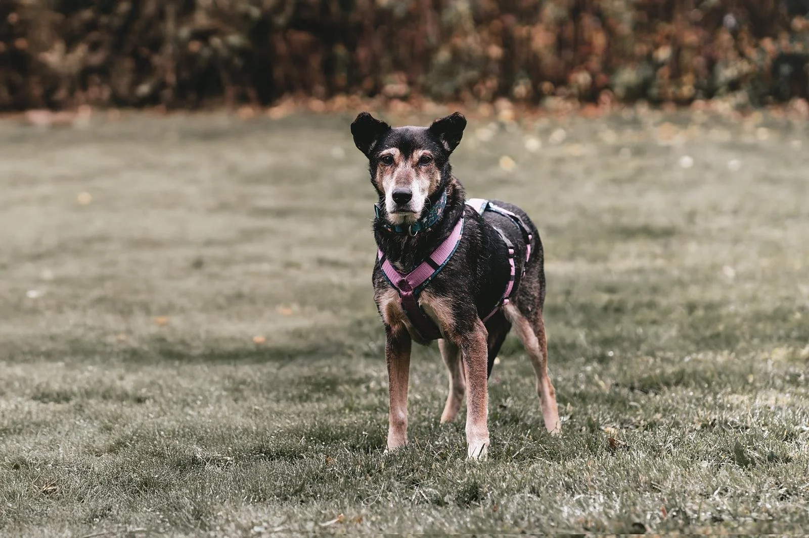 WhatsApp Image 2025-12-13 at 16.28.27.jpeg