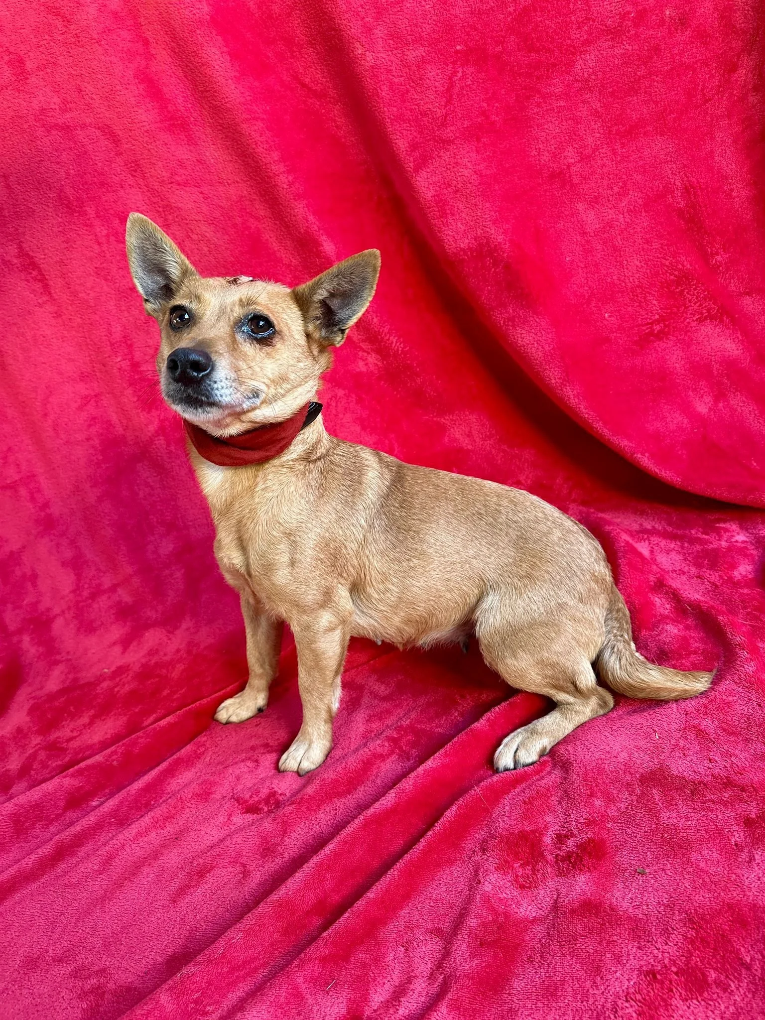 WhatsApp Image 2026-01-01 at 11.58.58 (2).jpeg