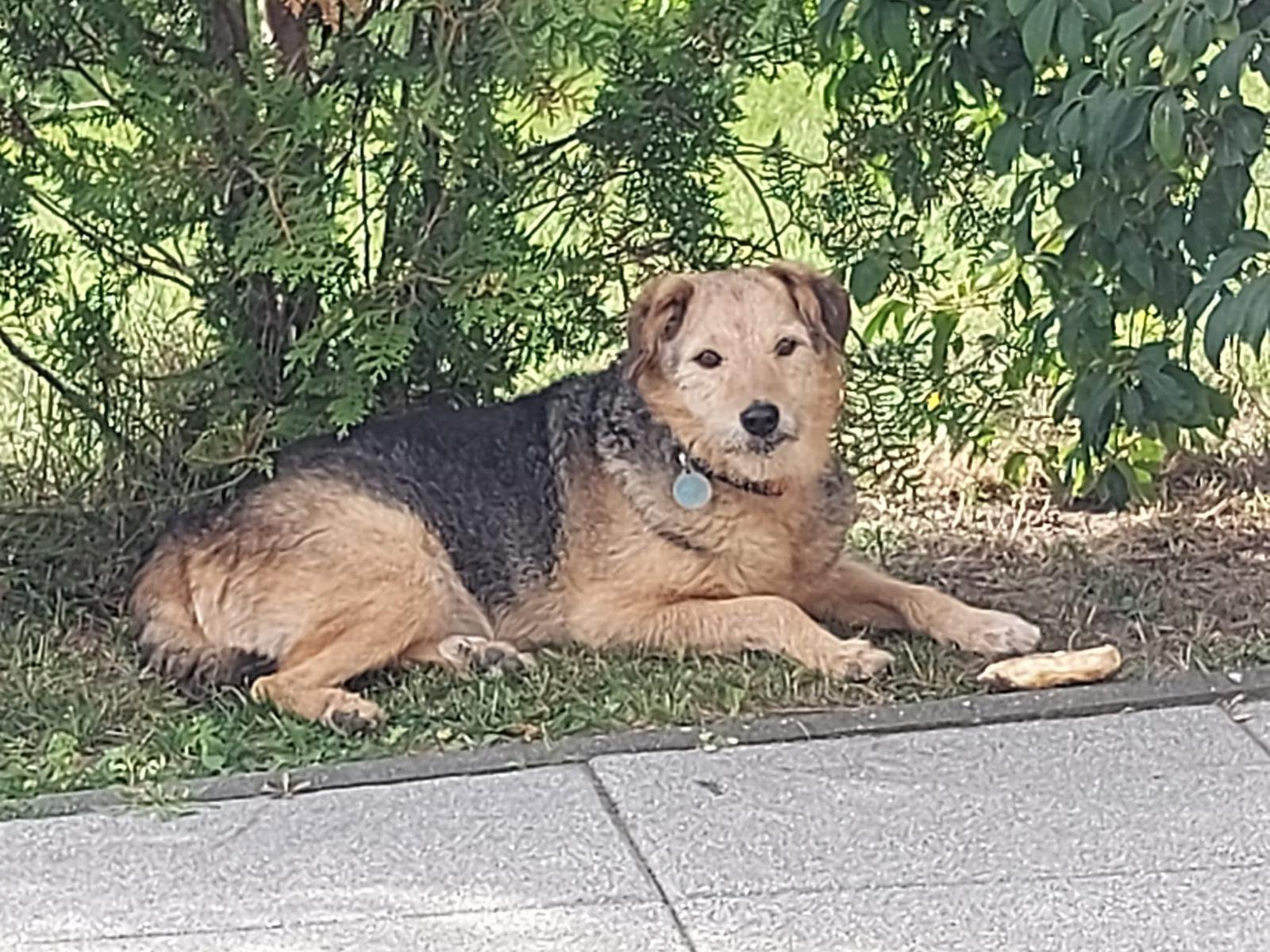 WhatsApp Image 2026-01-24 at 19.38.55 (2).jpeg