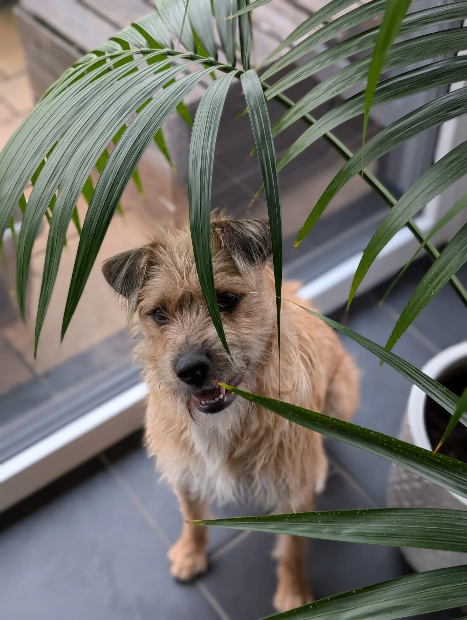 WhatsApp Image 2025-11-19 at 17.16.46.jpeg