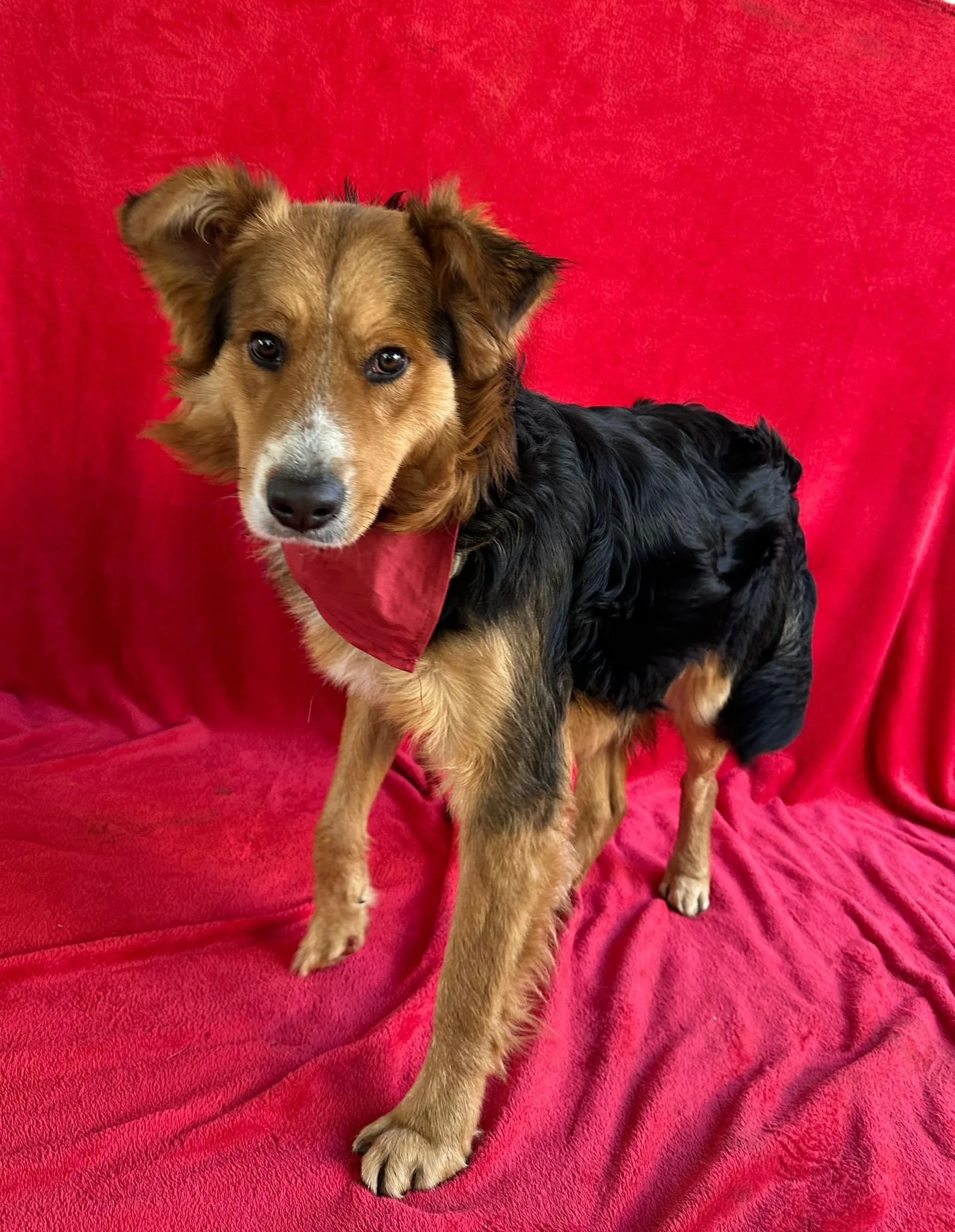 WhatsApp Image 2026-01-09 at 20.25.59 (1).jpeg