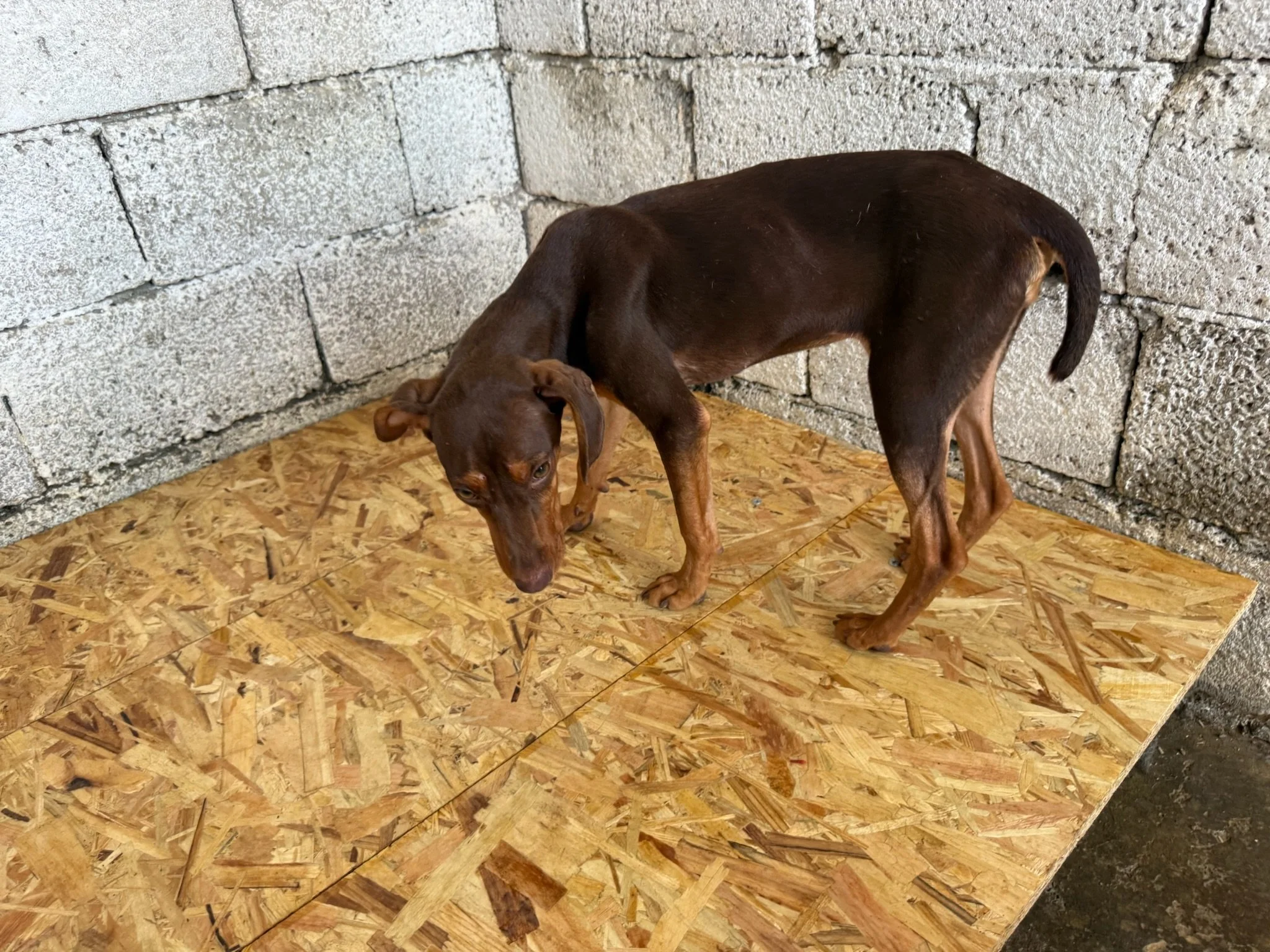 IMG_0634.jpeg