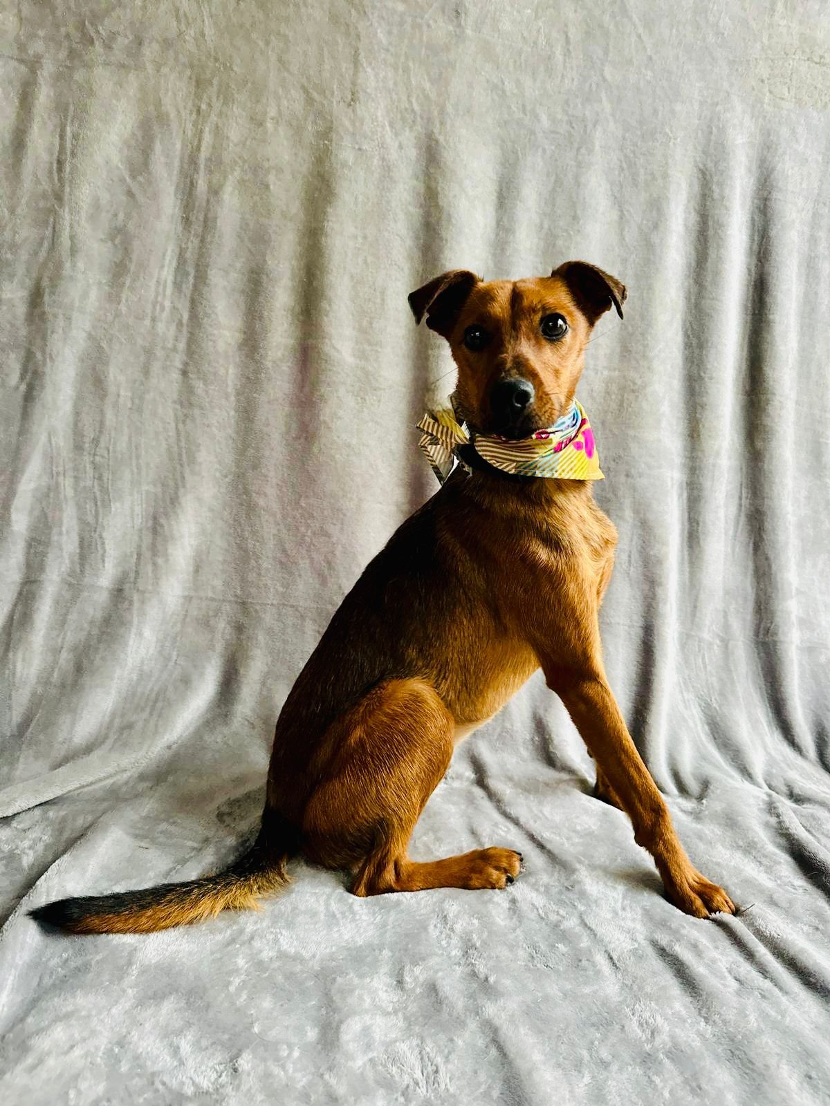 WhatsApp Image 2026-01-03 at 11.24.25.jpeg