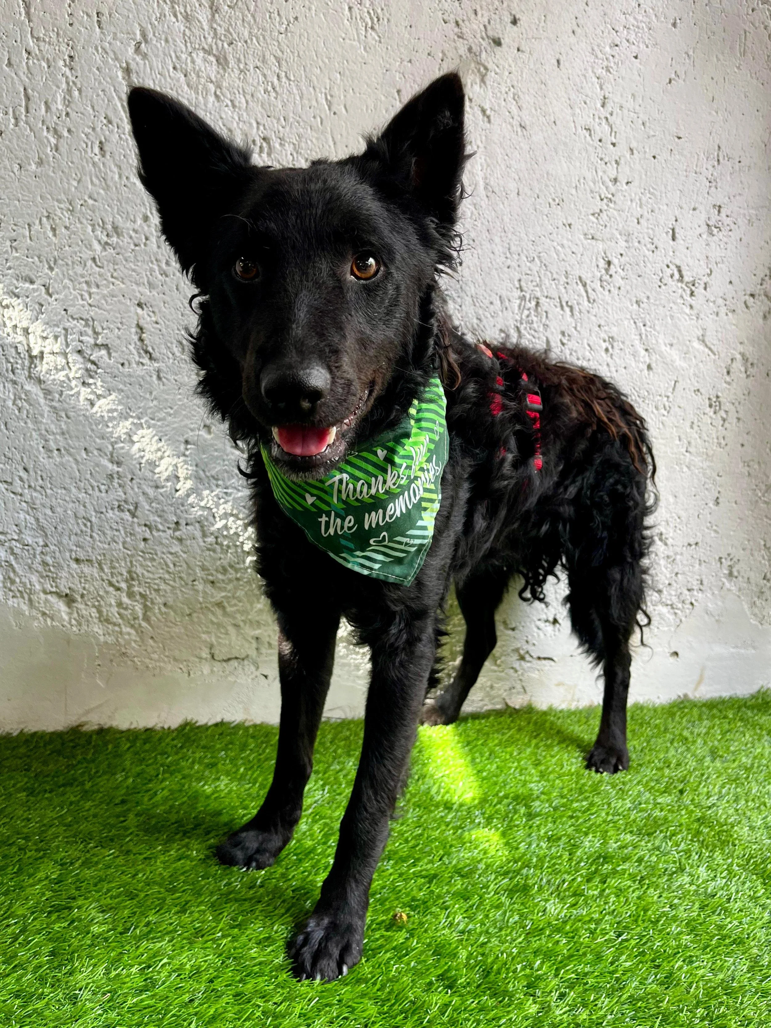 WhatsApp Image 2025-10-28 at 16.52.55.jpeg