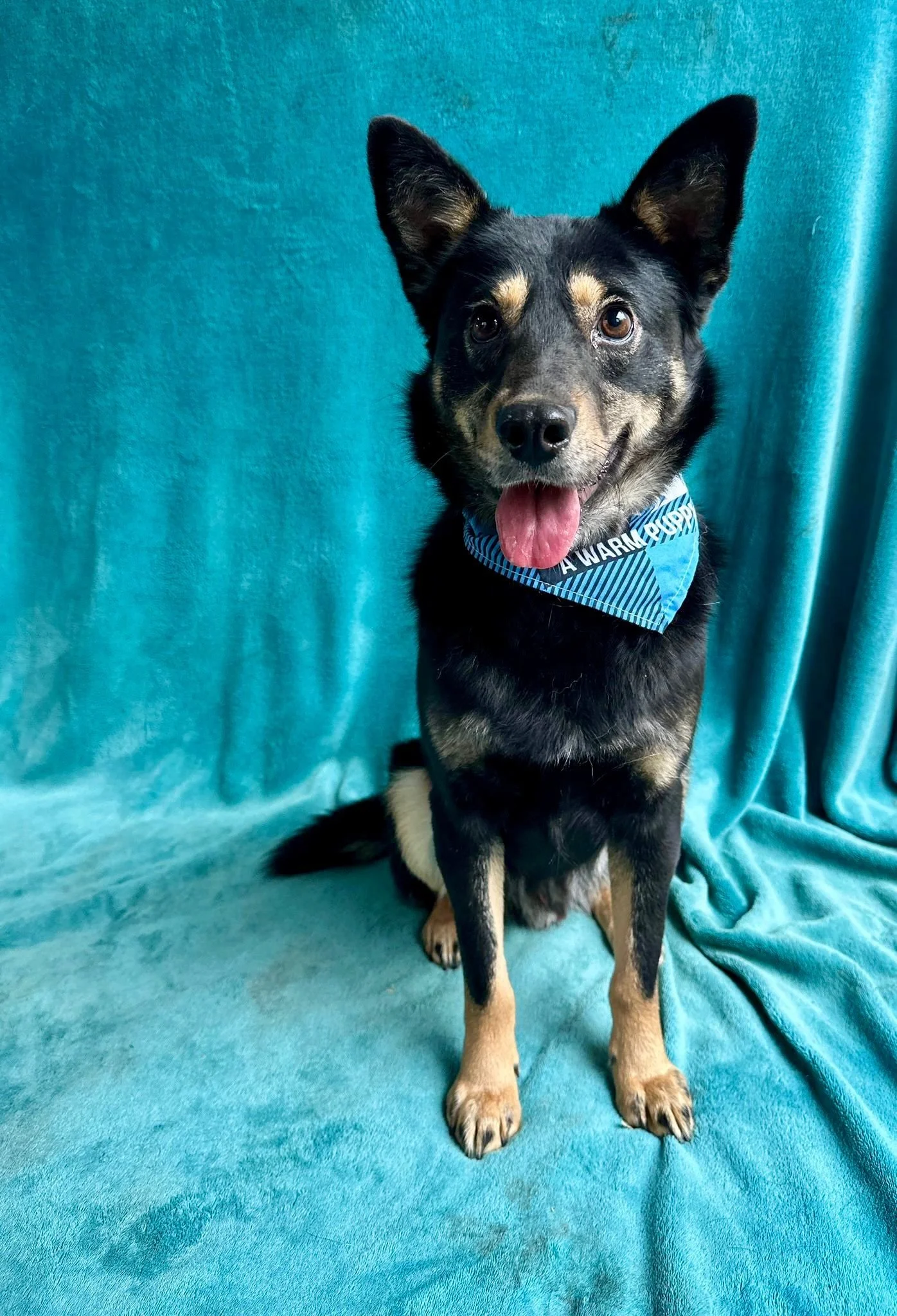 WhatsApp Image 2026-01-01 at 13.24.57 (1).jpeg