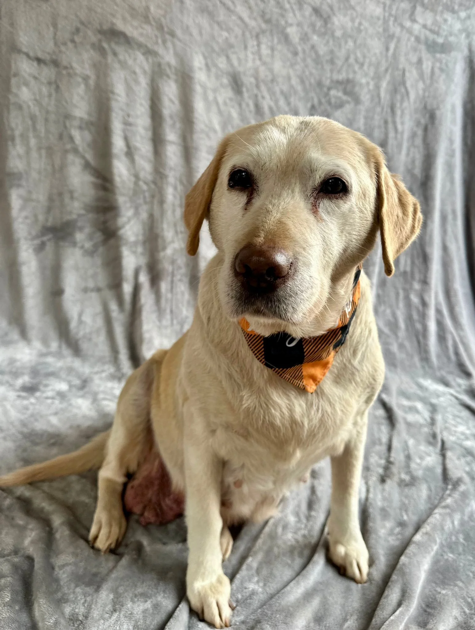 WhatsApp Image 2026-01-01 at 12.37.35.jpeg