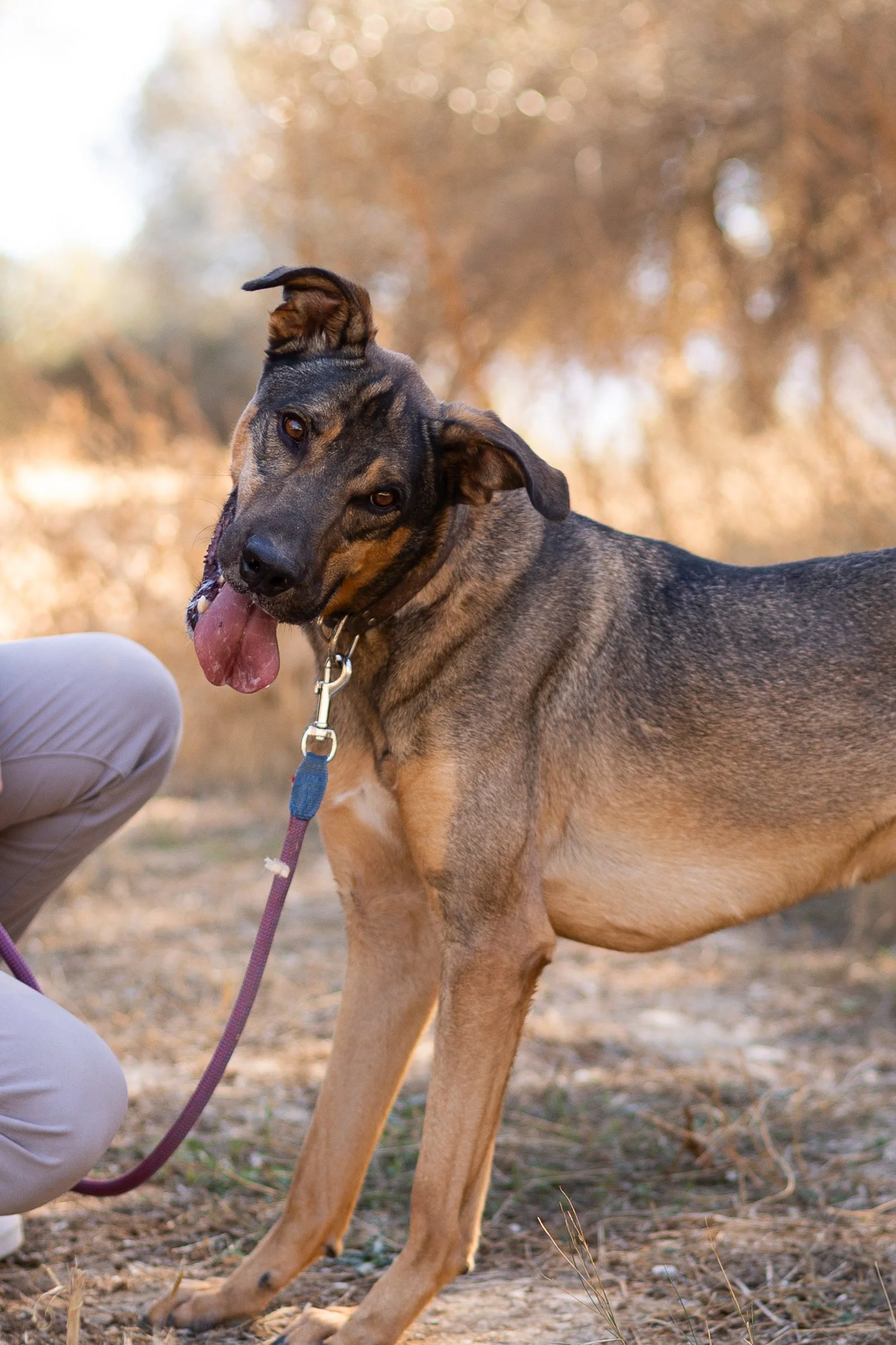 _V9A9582.jpeg