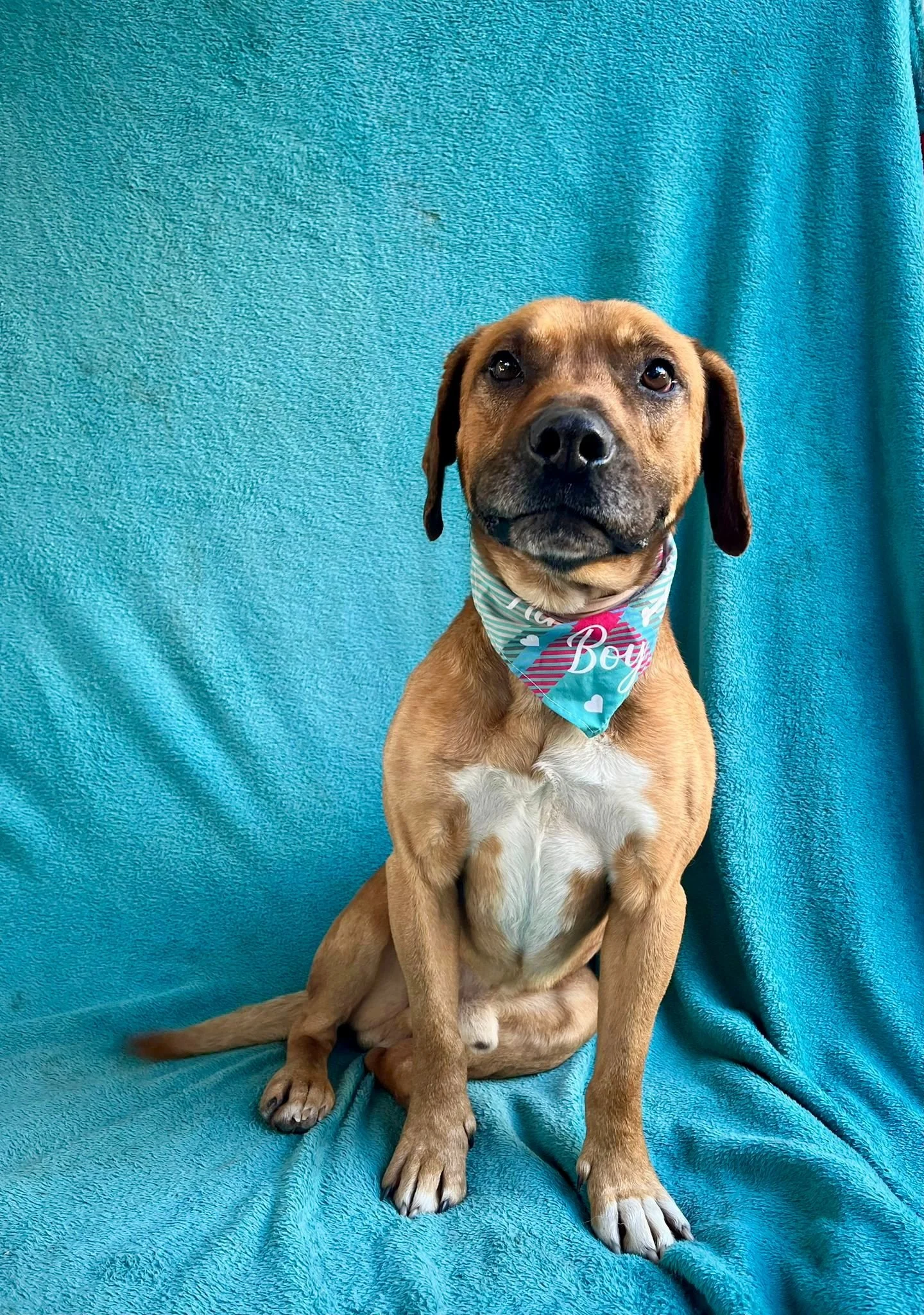 WhatsApp Image 2026-01-10 at 15.07.56 (2).jpeg