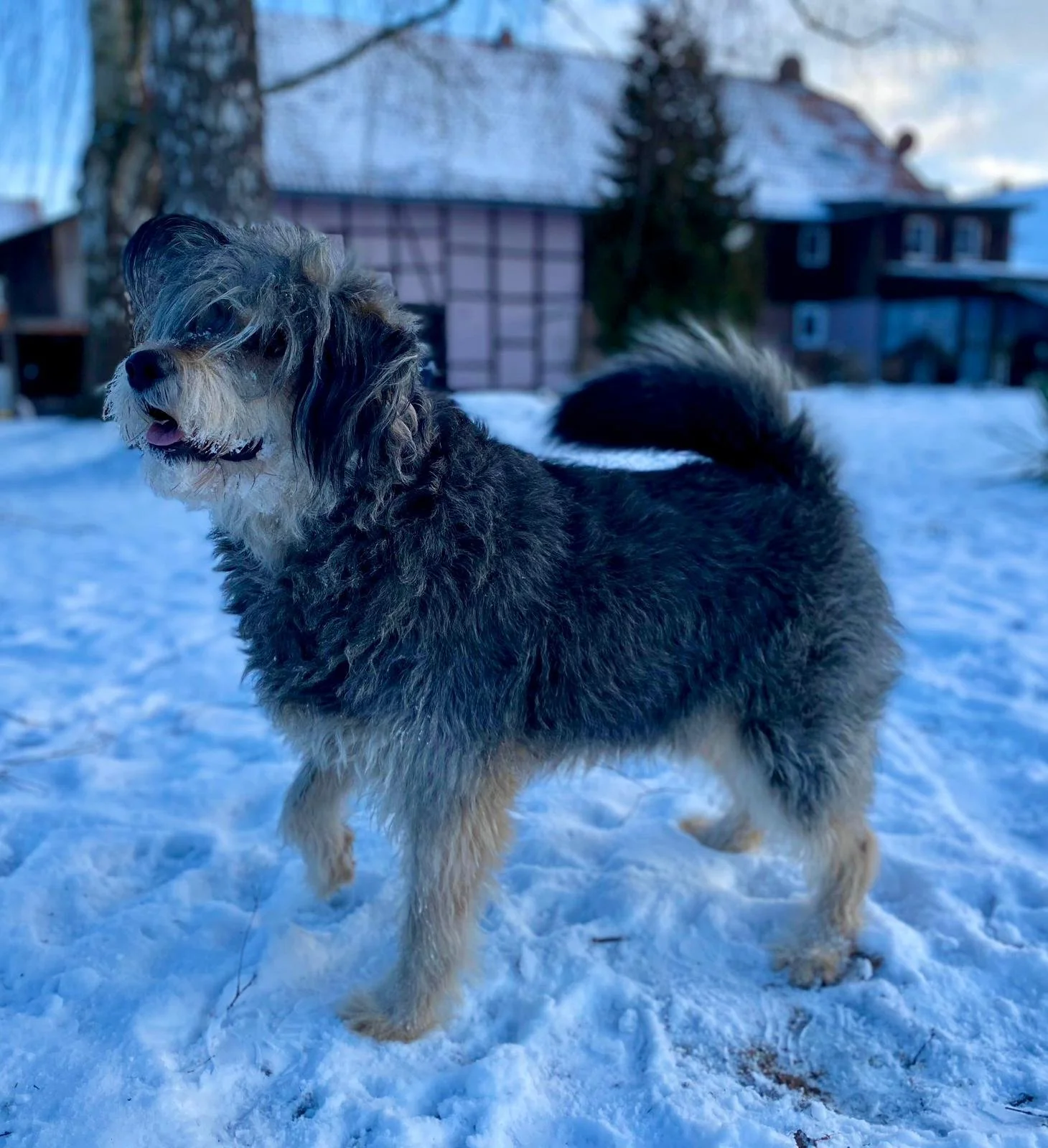 WhatsApp Image 2026-01-10 at 12.02.52 (2).jpeg