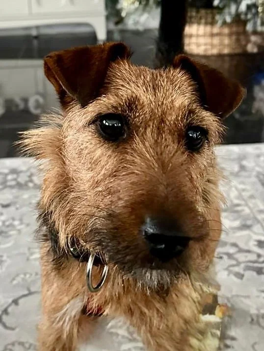 WhatsApp Image 2025-12-19 at 14.41.23 (2).jpeg