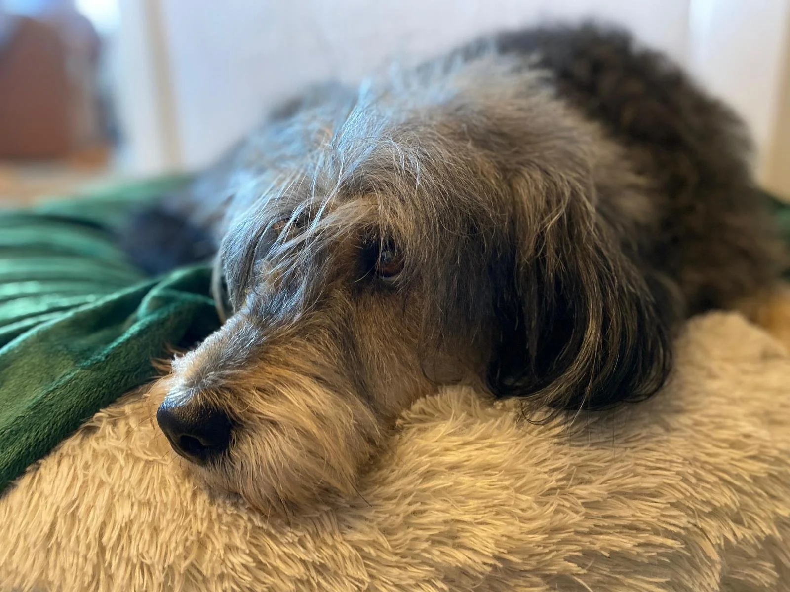 WhatsApp Image 2026-01-10 at 12.02.49 (3).jpeg