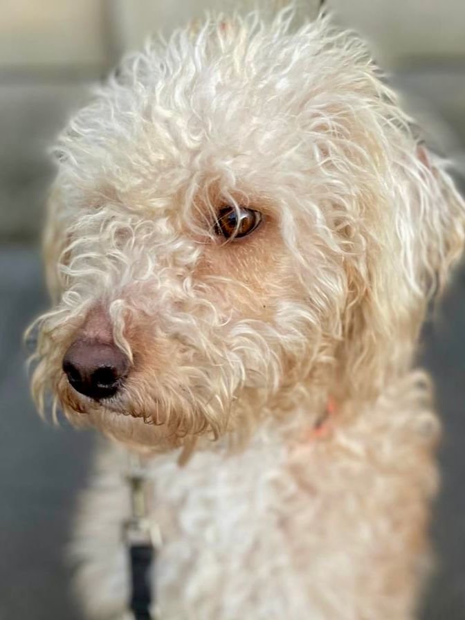 WhatsApp Image 2025-12-31 at 11.04.33 (2).jpeg