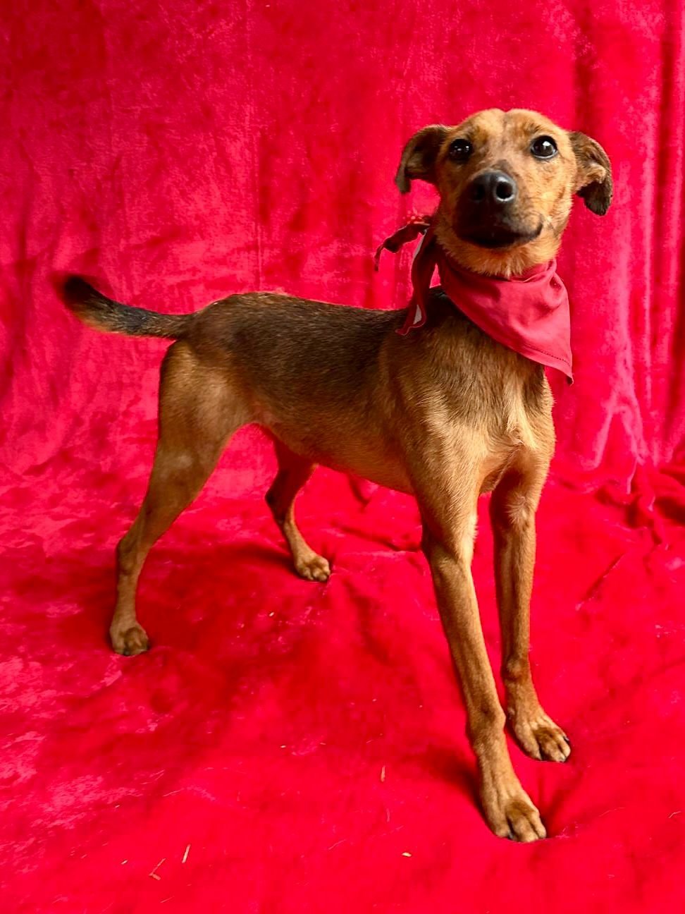 WhatsApp Image 2026-01-03 at 11.24.26 (3).jpeg