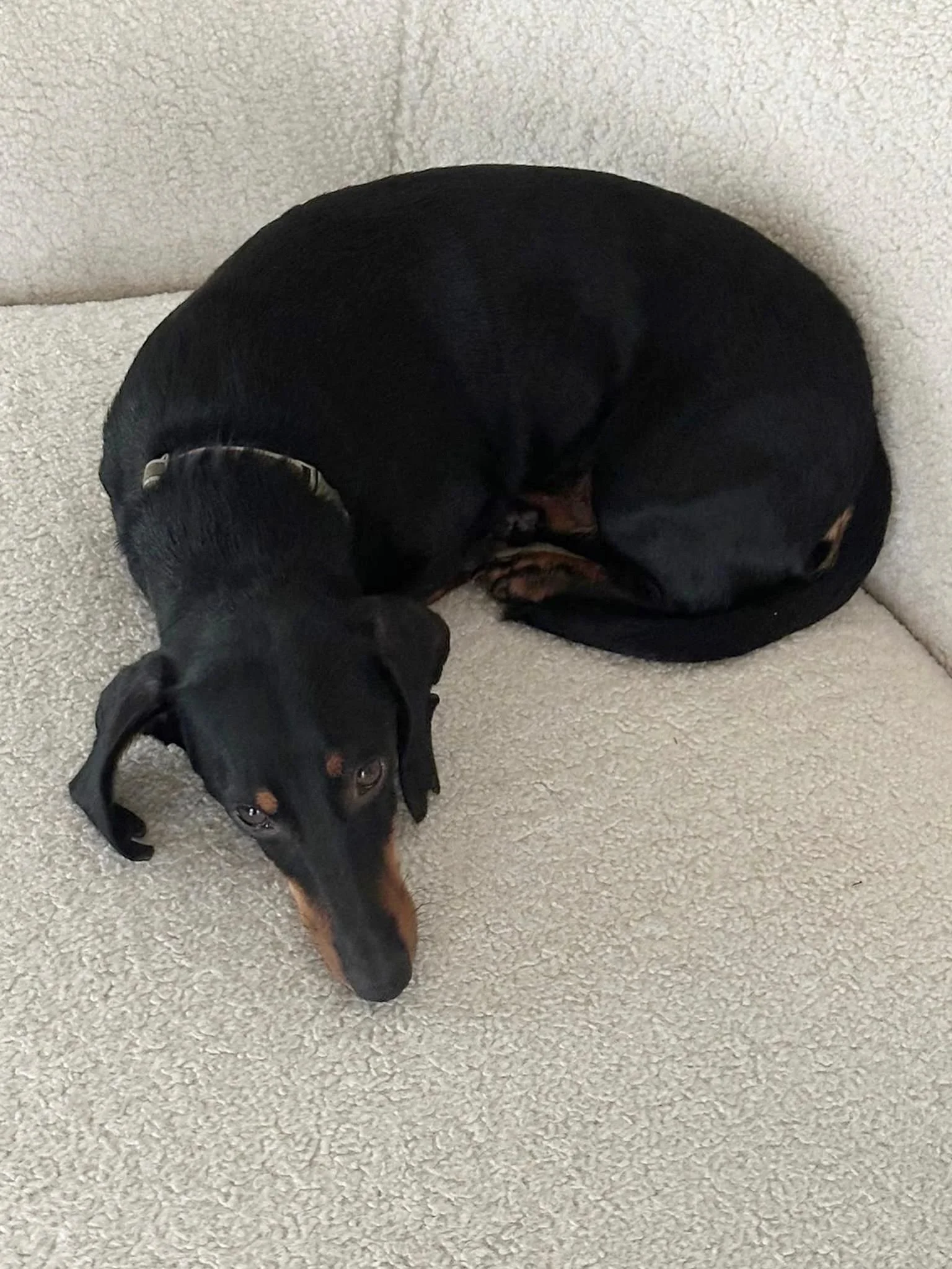 WhatsApp Image 2025-11-17 at 10.34.41 (1).jpeg