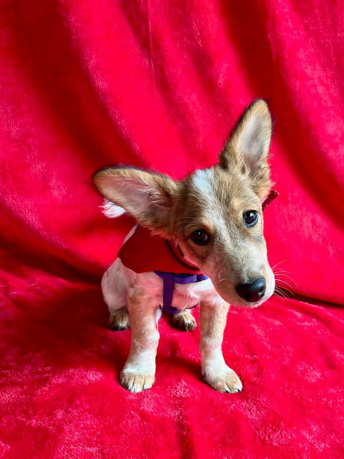 WhatsApp Image 2025-11-18 at 09.53.26.jpeg