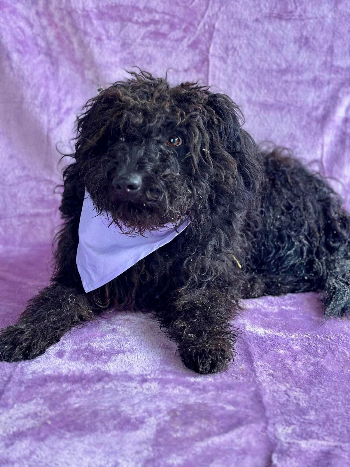 WhatsApp Image 2026-01-20 at 15.53.43 (1).jpeg