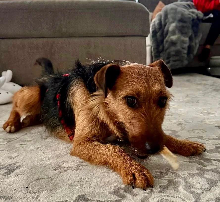 WhatsApp Image 2025-12-19 at 14.41.24.jpeg